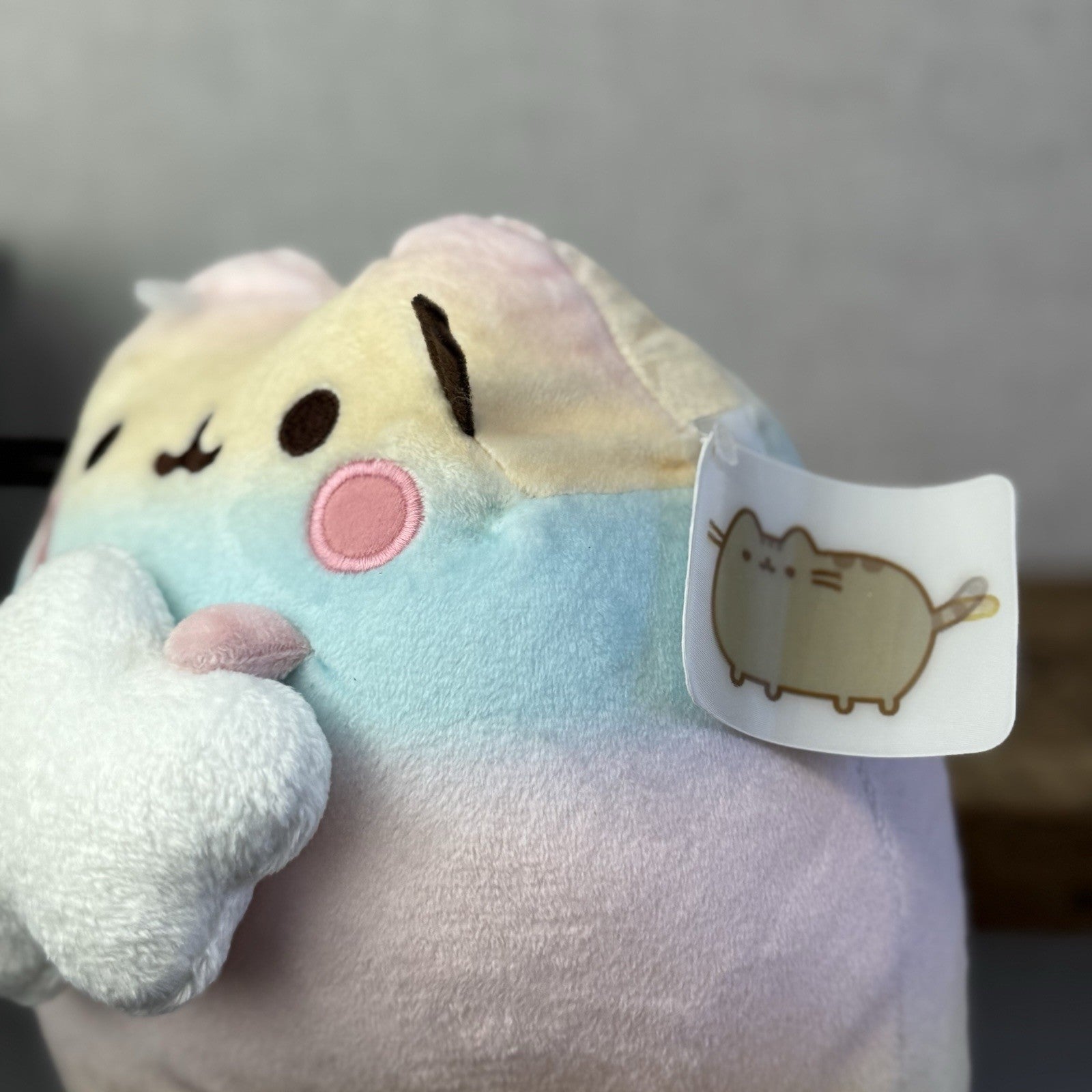 Gund Pusheen Cat - Rainbow Ombre Pusheen With Cloud - Partial Tag 10"