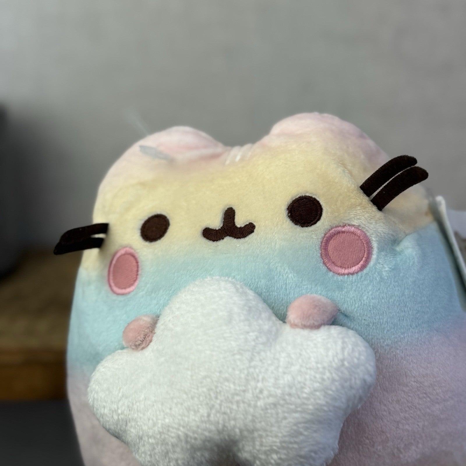 Gund Pusheen Cat - Rainbow Ombre Pusheen With Cloud - Partial Tag 10"