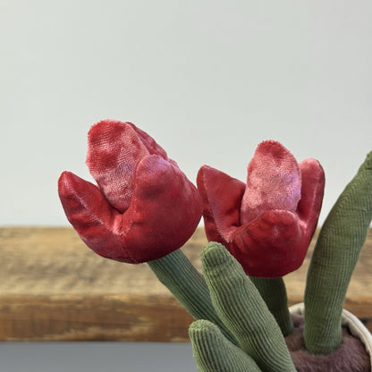 Jellycat Amuseables Tulip - New With Tags Red Tulip Plant Pot - New with tags