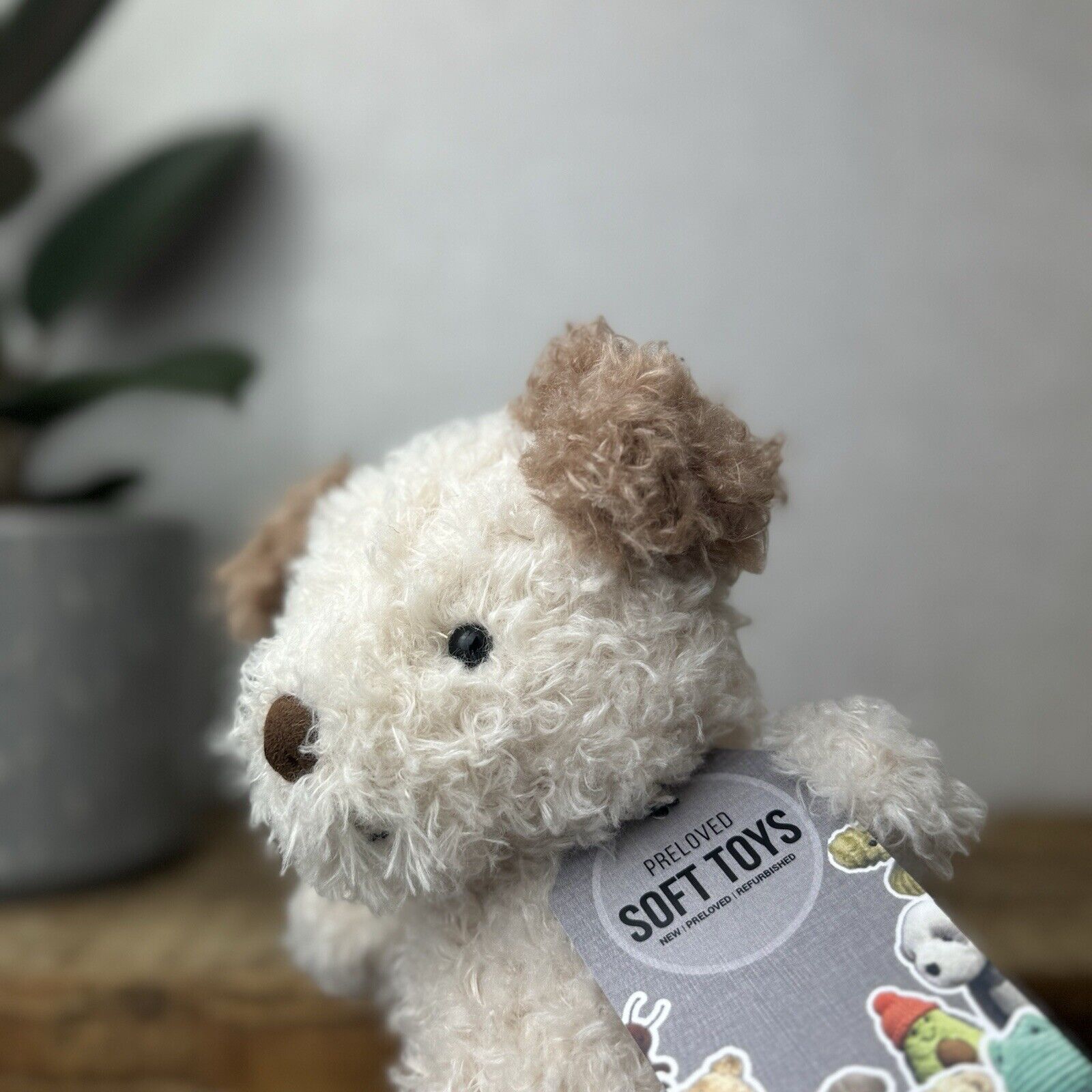 Jellycat Little Pup - Beige & Tan Small Curly Fur Puppy Beanie Toy Plush Dog 7"