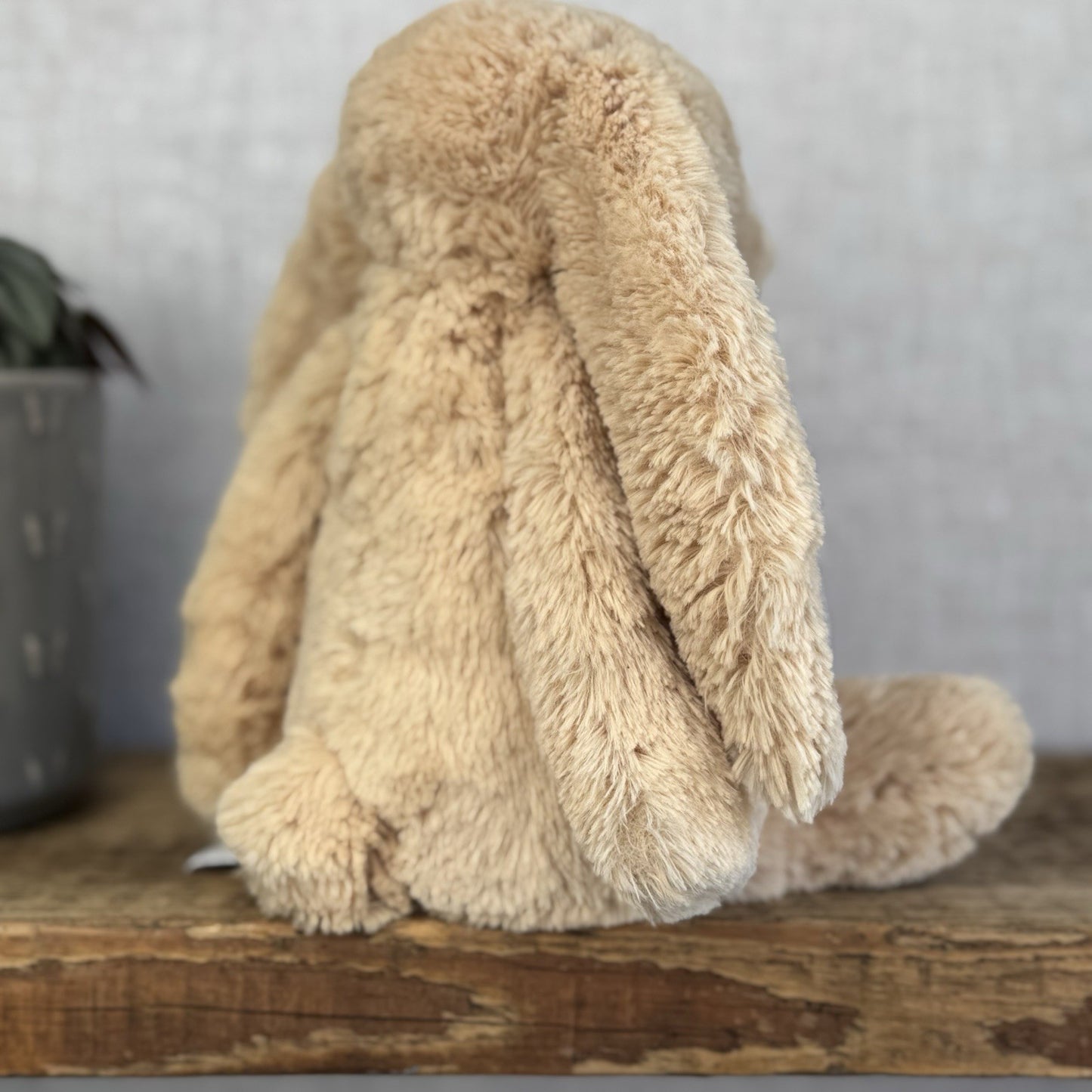 Jellycat Medium Bashful Honey Bunny - Retired Honey Bunny Plush Rabbit 12"