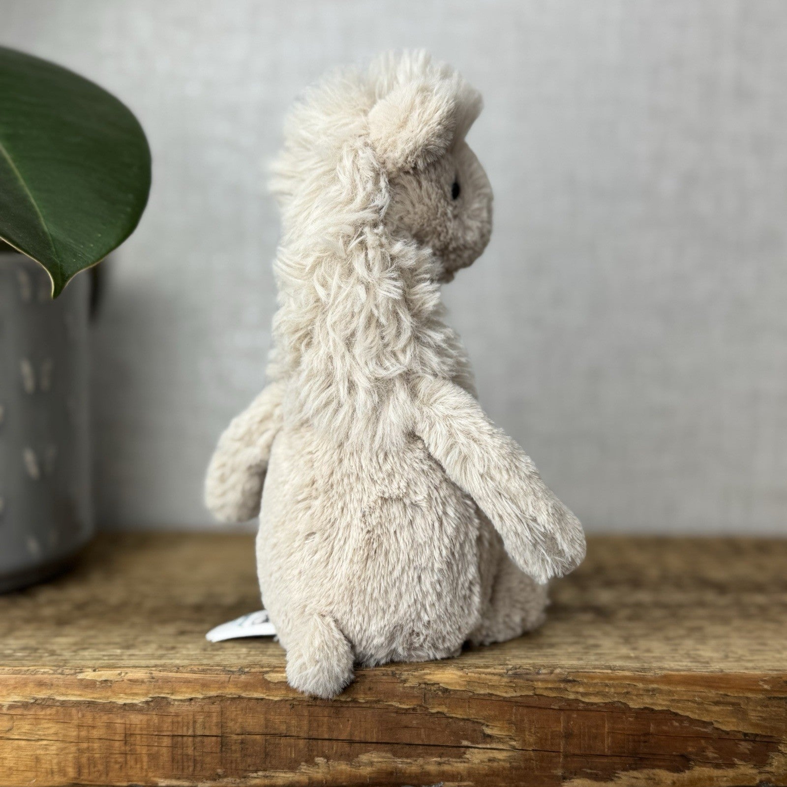 Jellycat Small Bashful Llama - Little Llama Light Beige Beanie Plush Teddy 8”