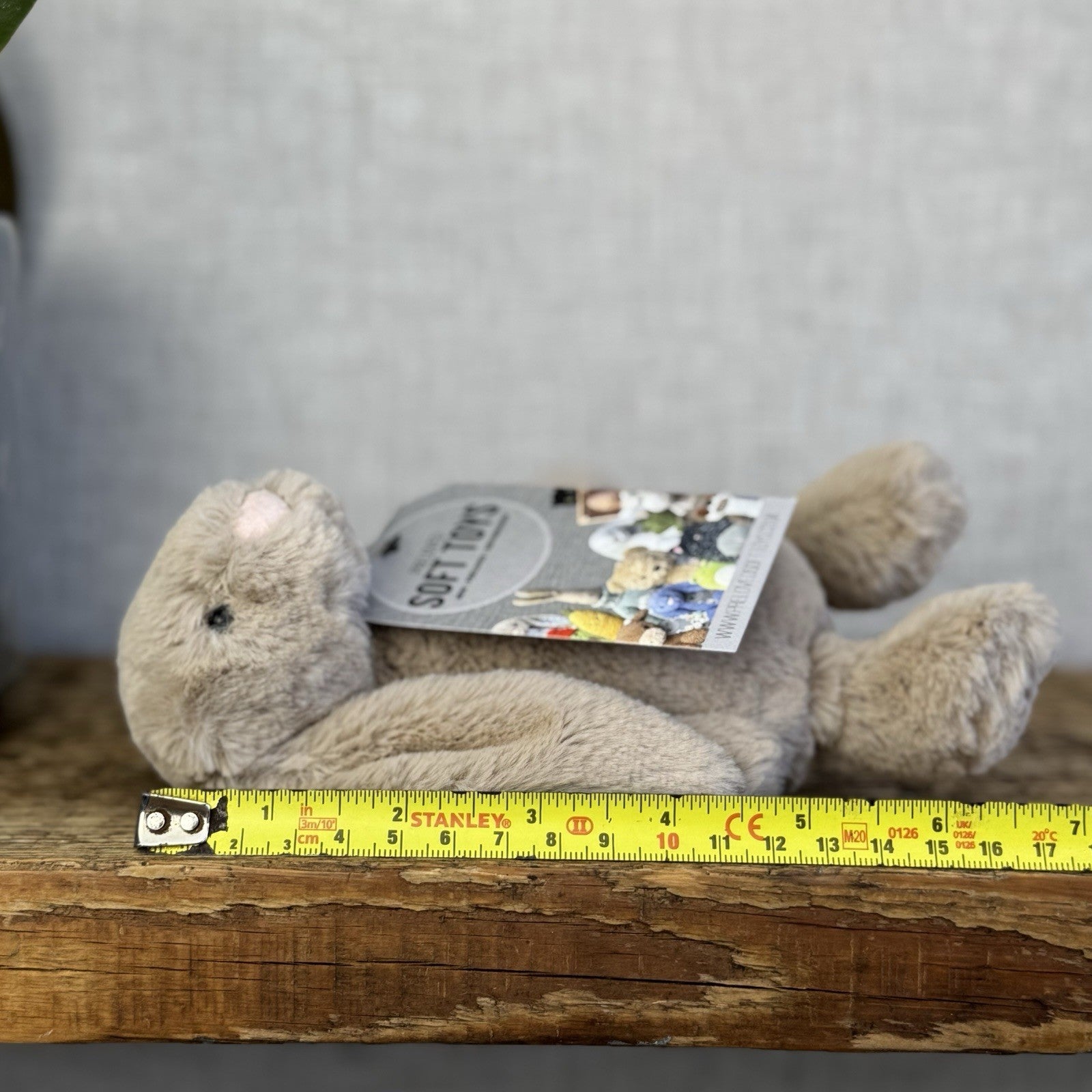 Jellycat Small Beige Bashful Bunny - New Without Tags Little Rabbit 8” (#3)
