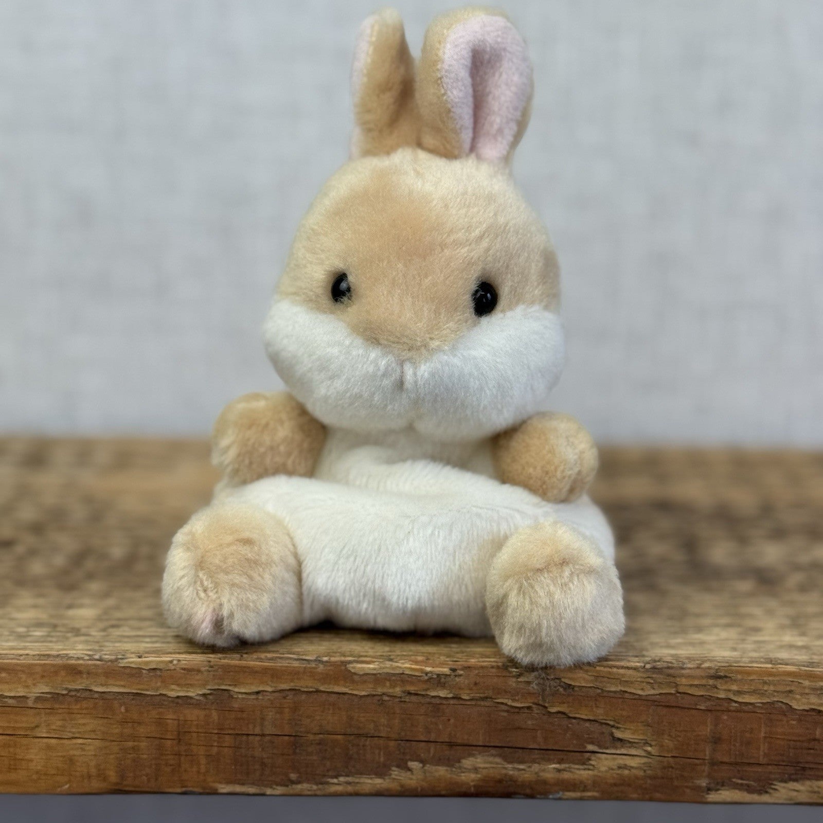 Aurora - Palm Pals Mini Beanbag Plush Ella Bunny BNWOT 5"