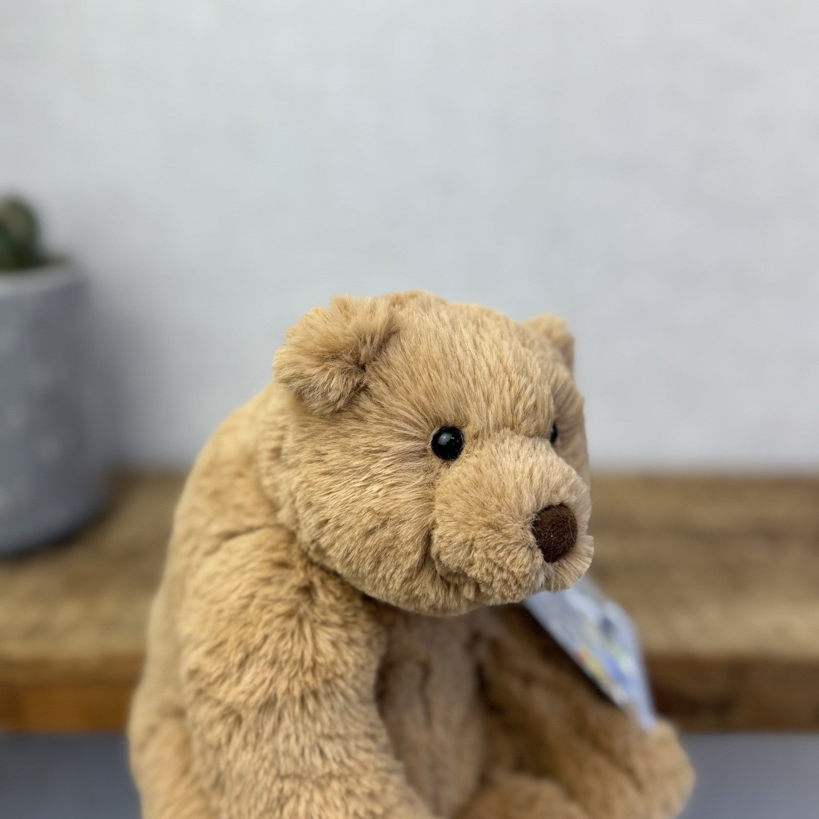 Jellycat Small Cecil Bear - Small Sitting Brown Bear Beanie Plush Retired 8"