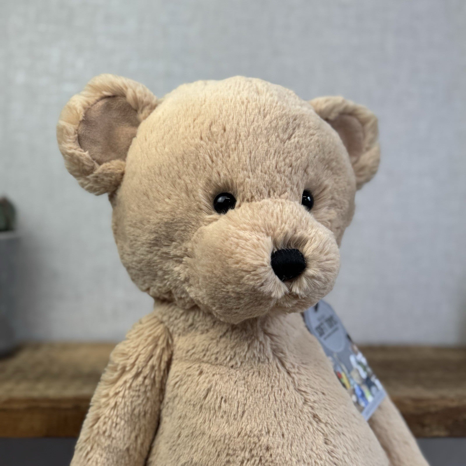 Jellycat Huge/Big Bashful Bear Honey Bear Cub Soft Toy Rare Retired NWOT 21"