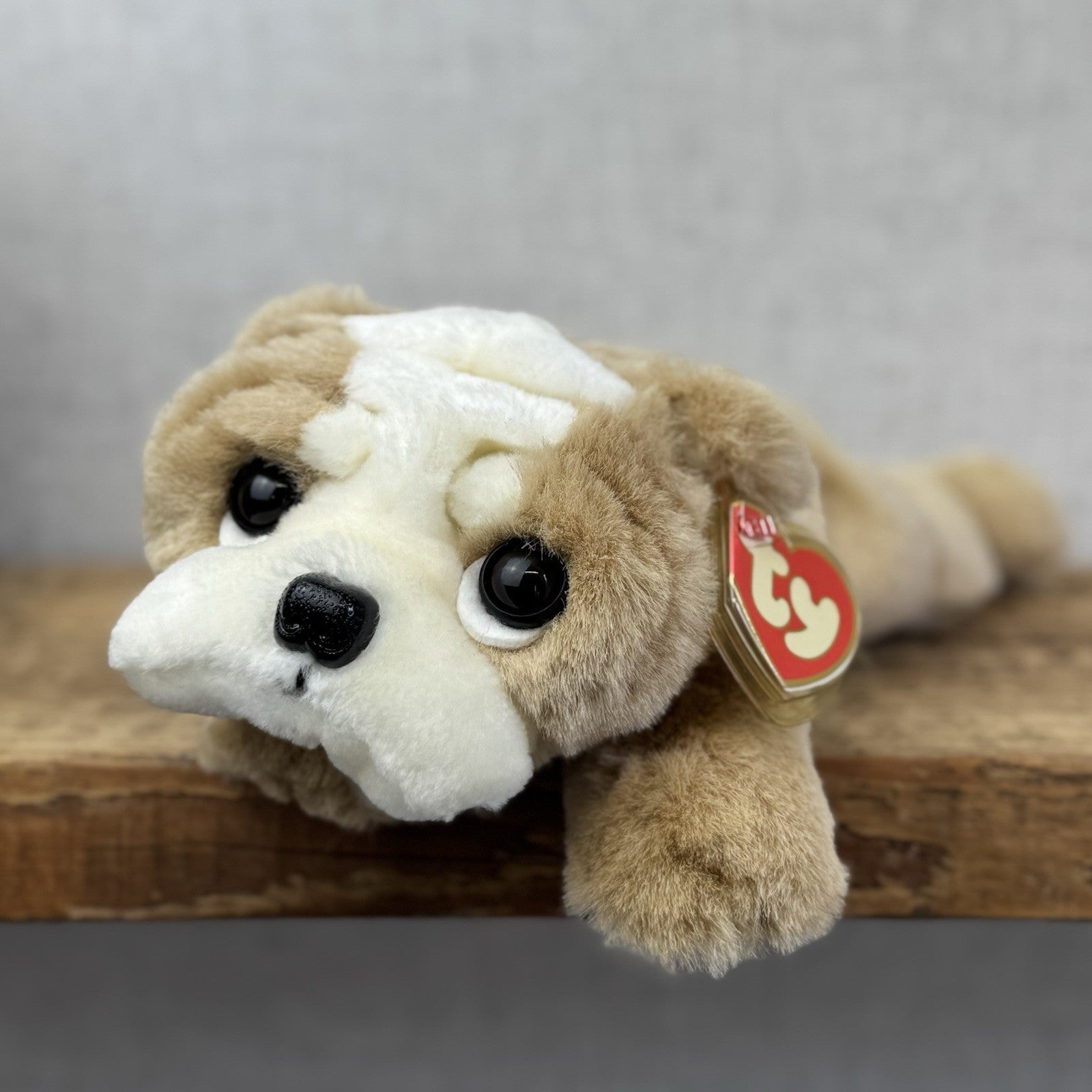 Ty Classic Beanie Buddies Churchill Bulldog Puppy Dog - Wrinkly Dog Pristine New