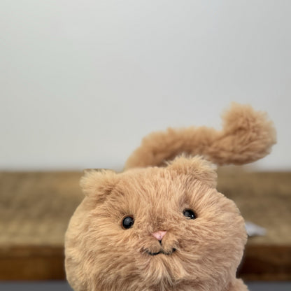 Jellycat Caboodle Kitten Ginger Orange - Mini Cat Soft Toy Retired 5”