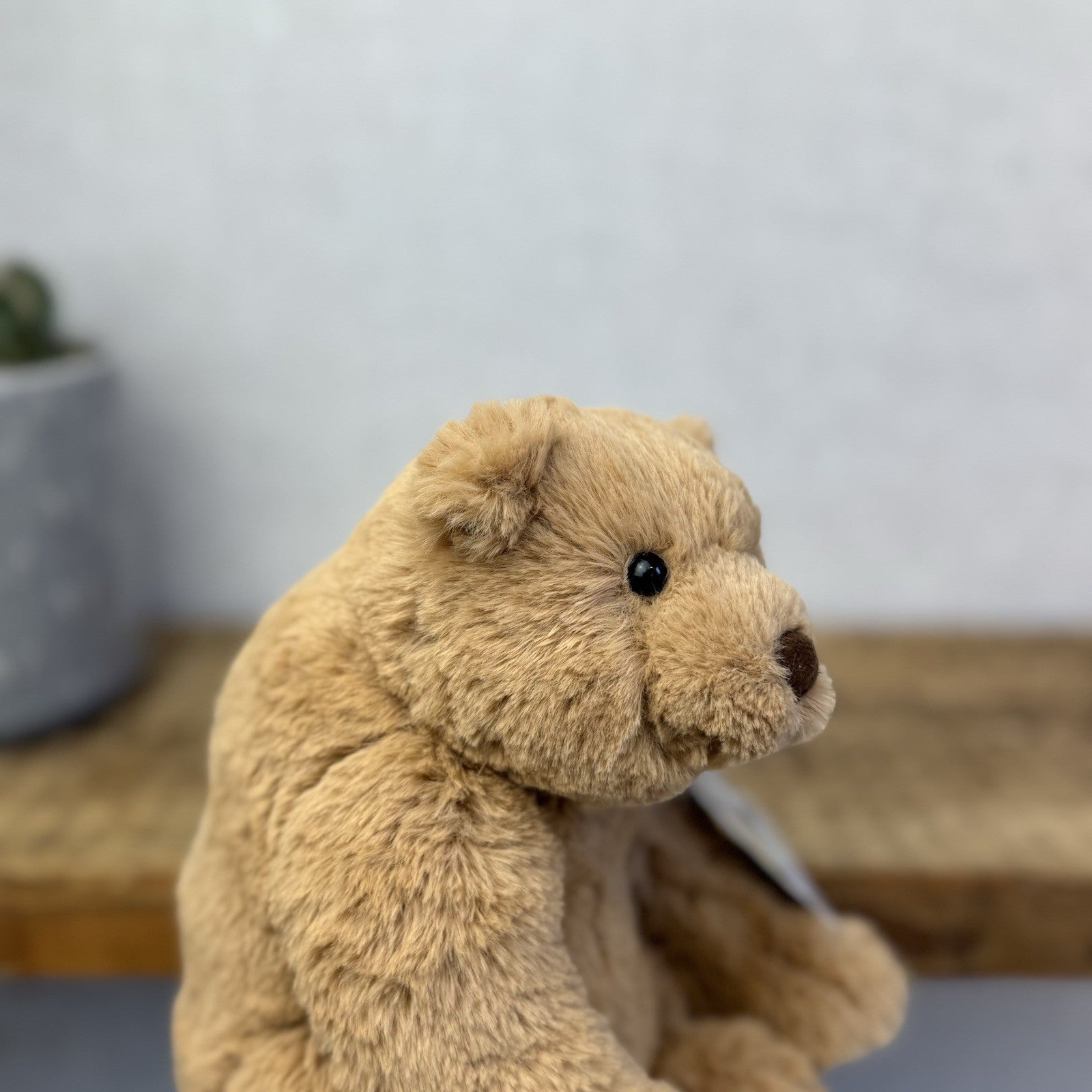 Jellycat Small Cecil Bear - Small Sitting Brown Bear Beanie Plush Retired 8"