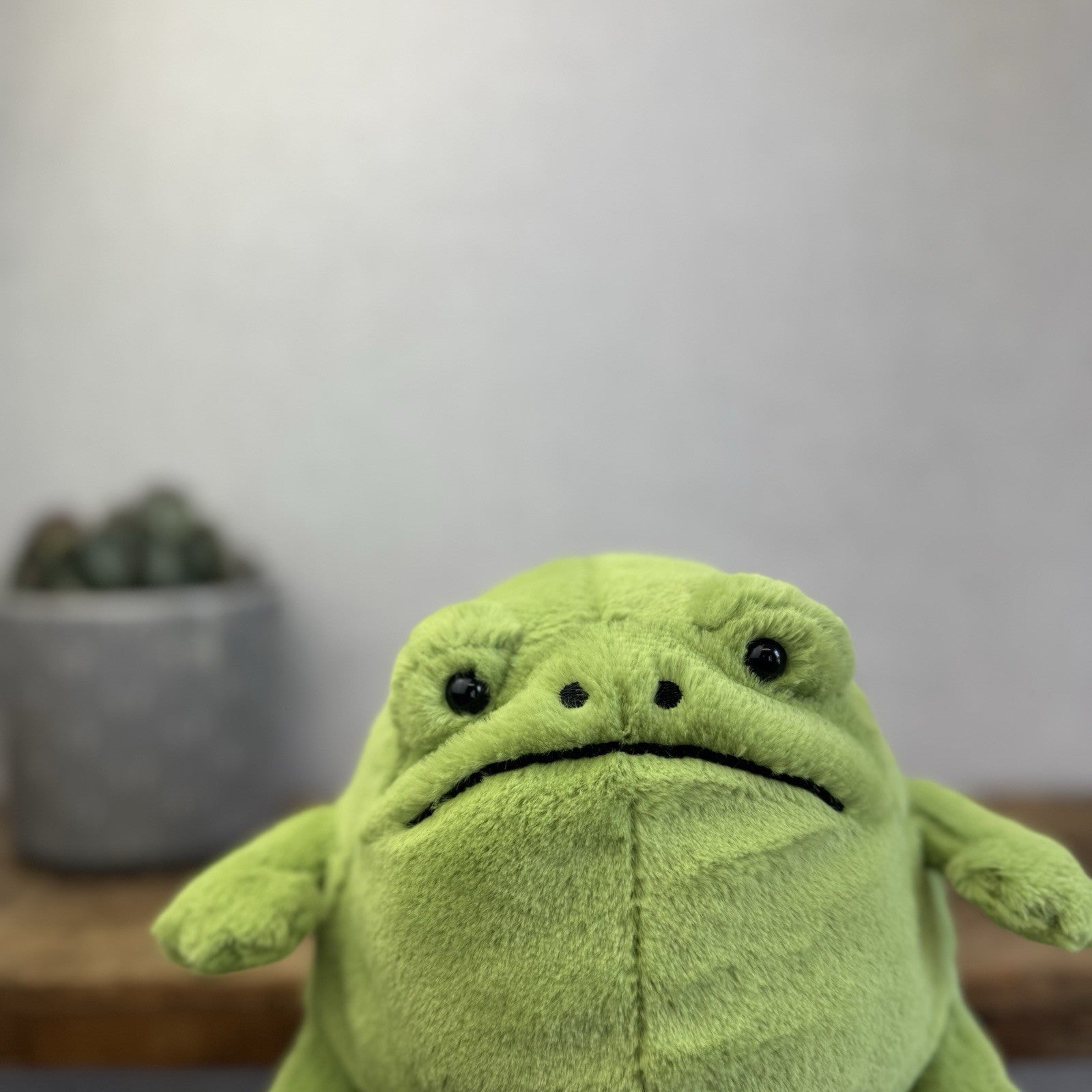 Jellycat Ricky Rain Frog - Green Soft Toy Frog Beanie Plush Medium 7"