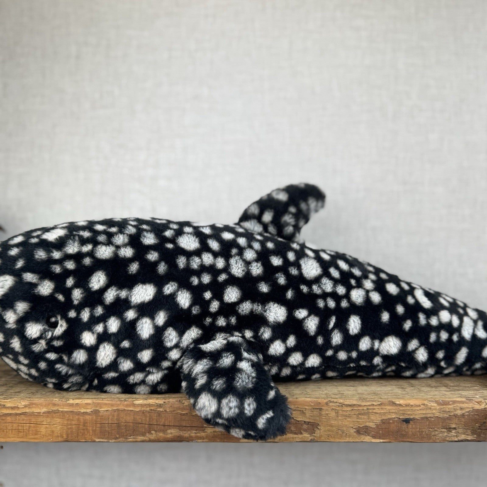 Jellycat Large Pebble Shark - Black/White Spot Large Beanie Shark 25"