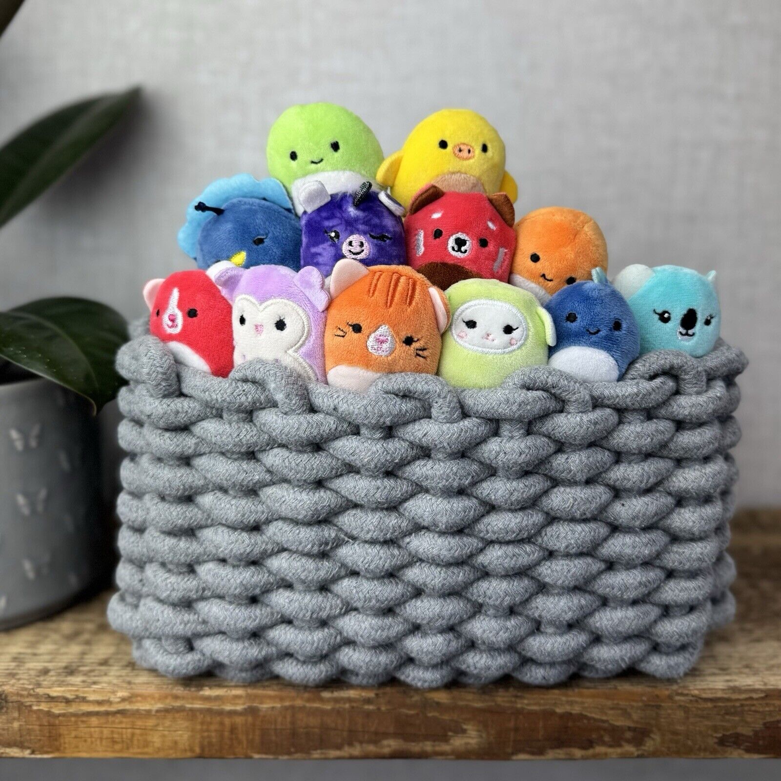 Squishmallows Squishville - Brilliant Besties Squad - Bright Colour Bundle x 12