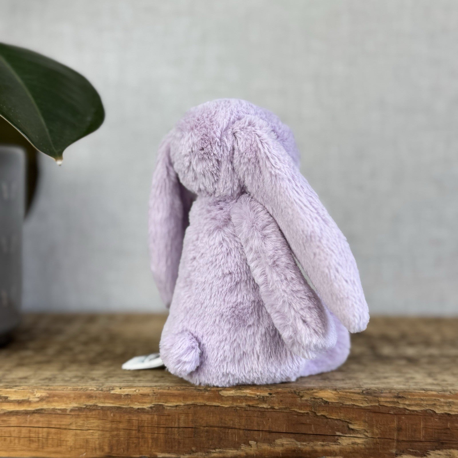 Jellycat Small Hyacinth Bashful Bunny - Little Lilac Purple Bunny Rabbit 8”