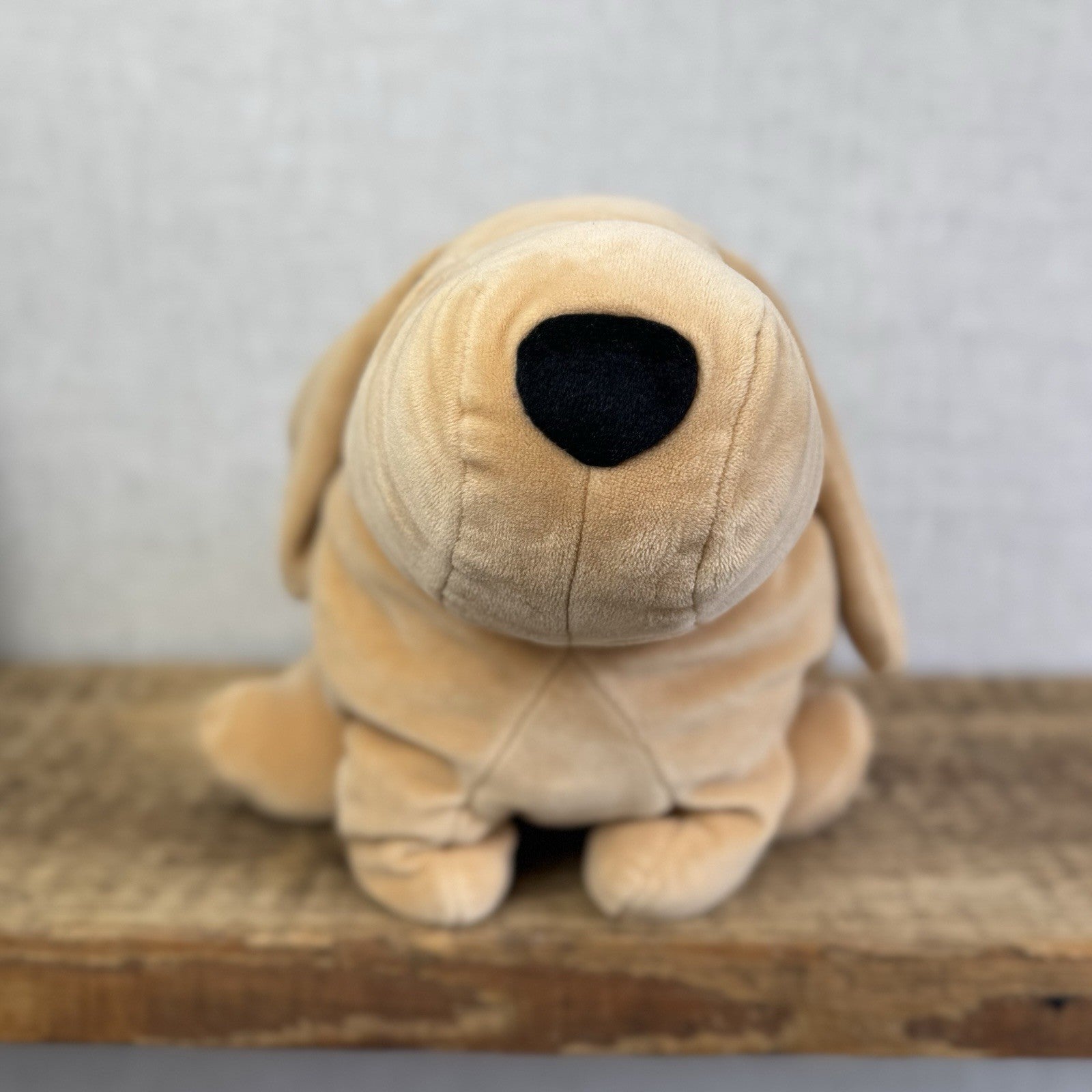 Jellycat Large Mellow Mallow Dog - Beige/Sand Squishy Dog Soft Beanie Toy 12"