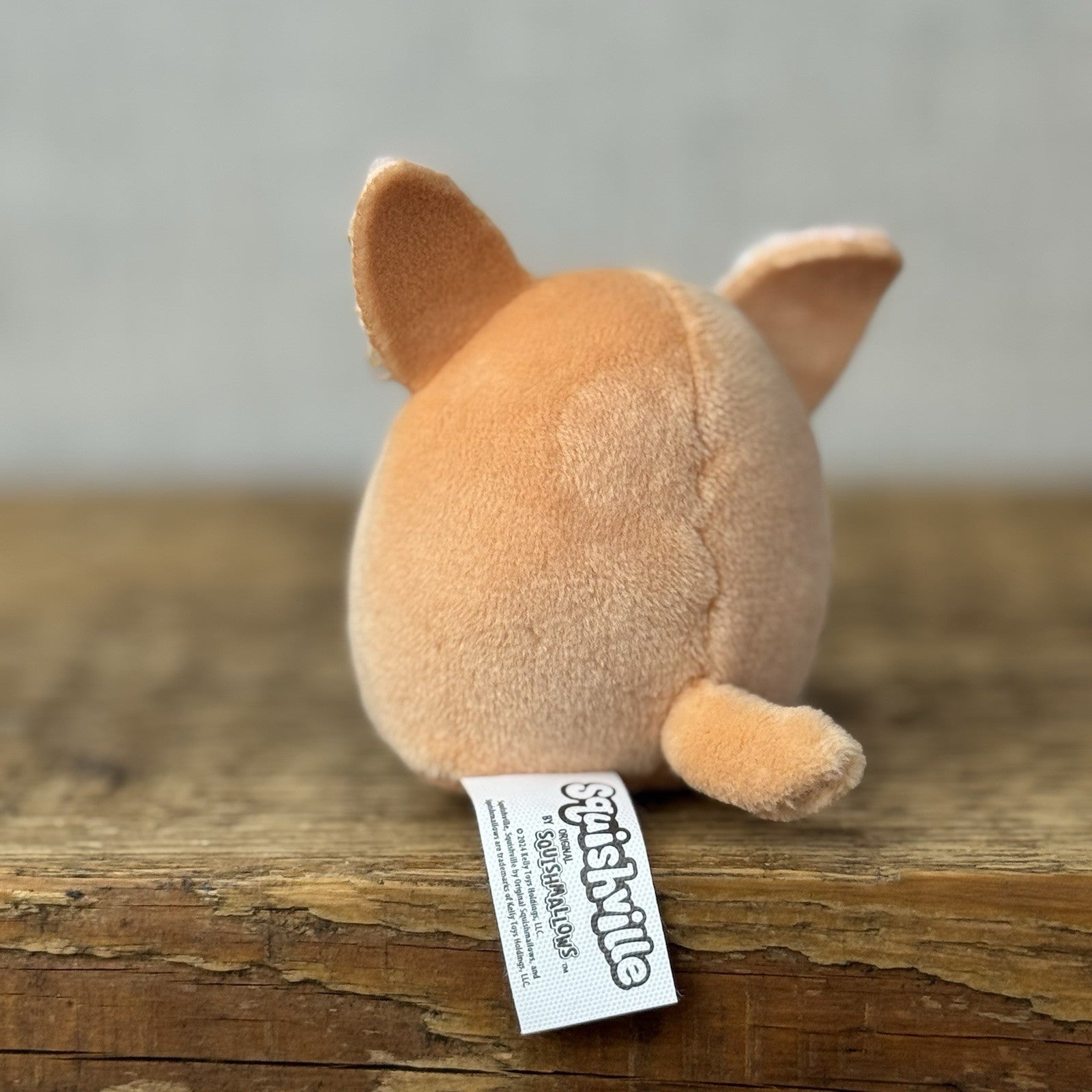 Squishmallow Squishville -Pace Tan Fennec Fox Mini (Multi Buy Discount)