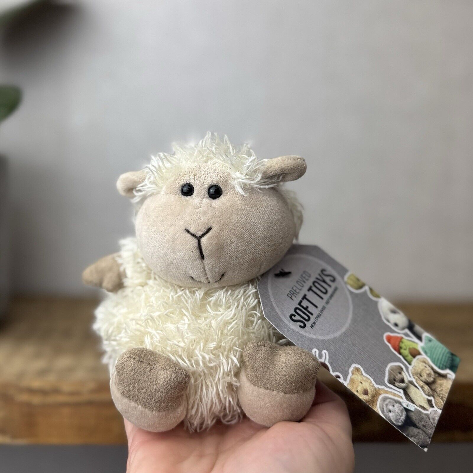 Jellycat Pudding Lamb Sheep - Small Fluffy Lamb Soft Toy Plush Beanie 5”