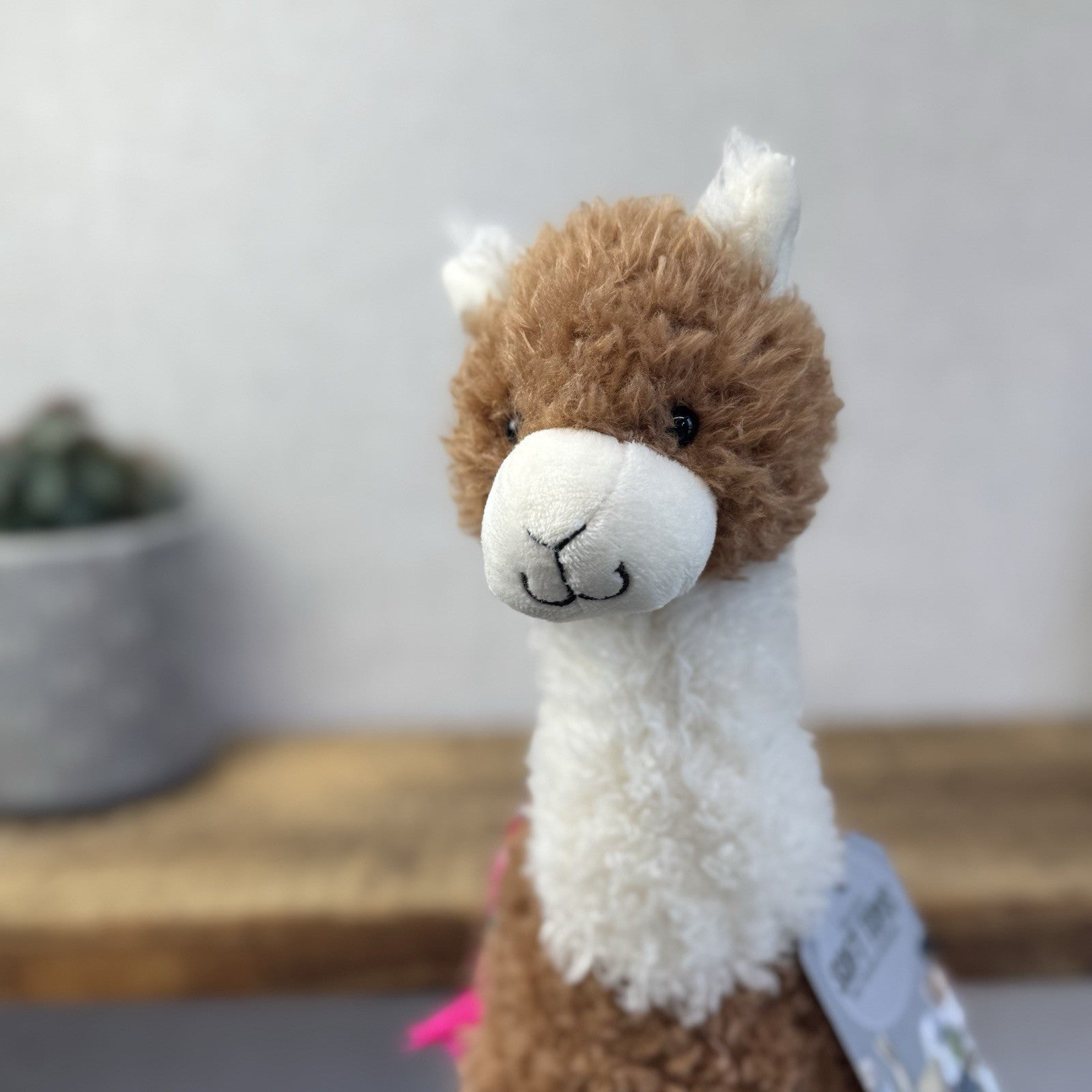 John Lewix X Jellycat Poncho Llama - Curly LLama Beanie Soft Toy Medium 12"