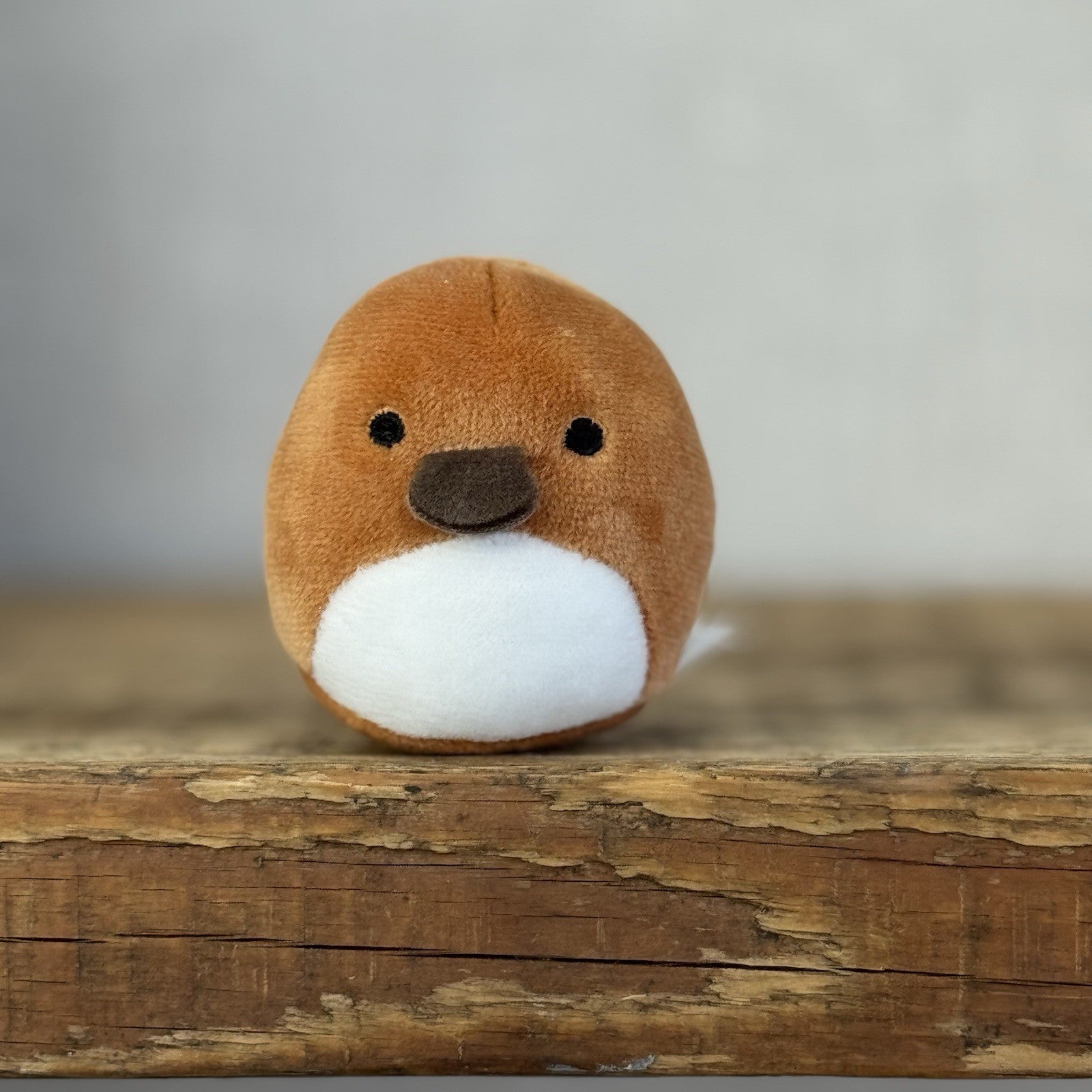 Squishmallow Squishville - Santino Platypus - Brown Platypus Sea Creature 2”
