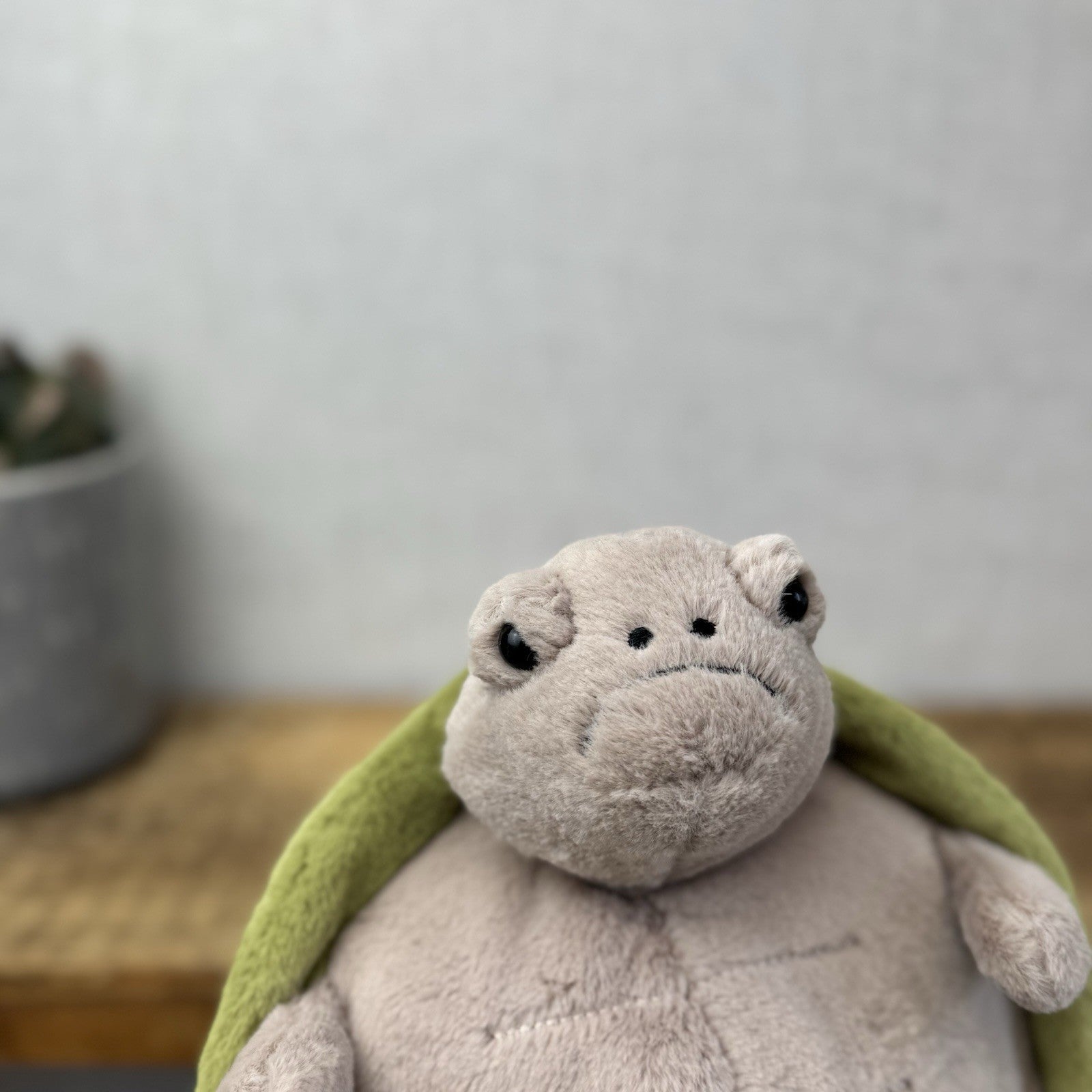 Jellycat Timmy Turtle - Grumpy Turtle Soft Toy (With Tags) Beanie Turtle 12"