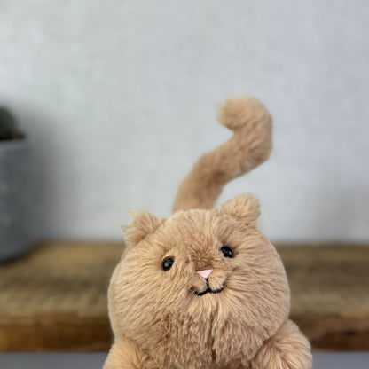 Jellycat Ginger Kitten Caboodle Cat Plush Soft Toy - Small Kitten Orange Toy 5”