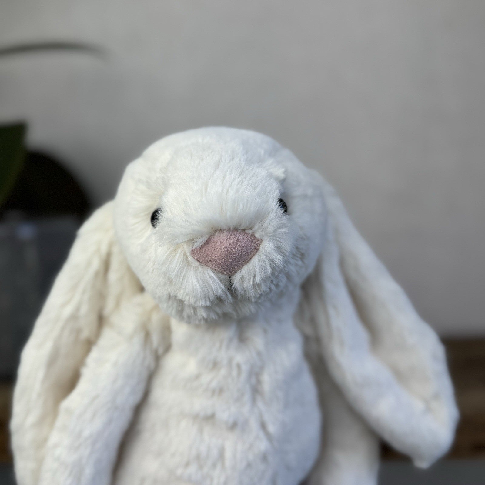 Jellycat Medium Cream Bashful Rabbit - Cream Off White Medium Bunny 12” New Tags