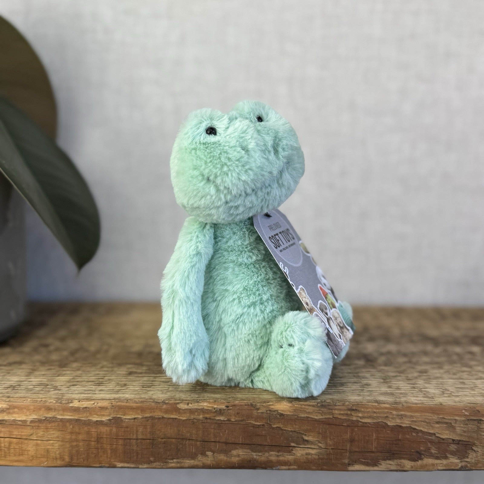 Jellycat Small Bashful Mint Green Frog Soft Beanie Plush Rare And Retired 8”