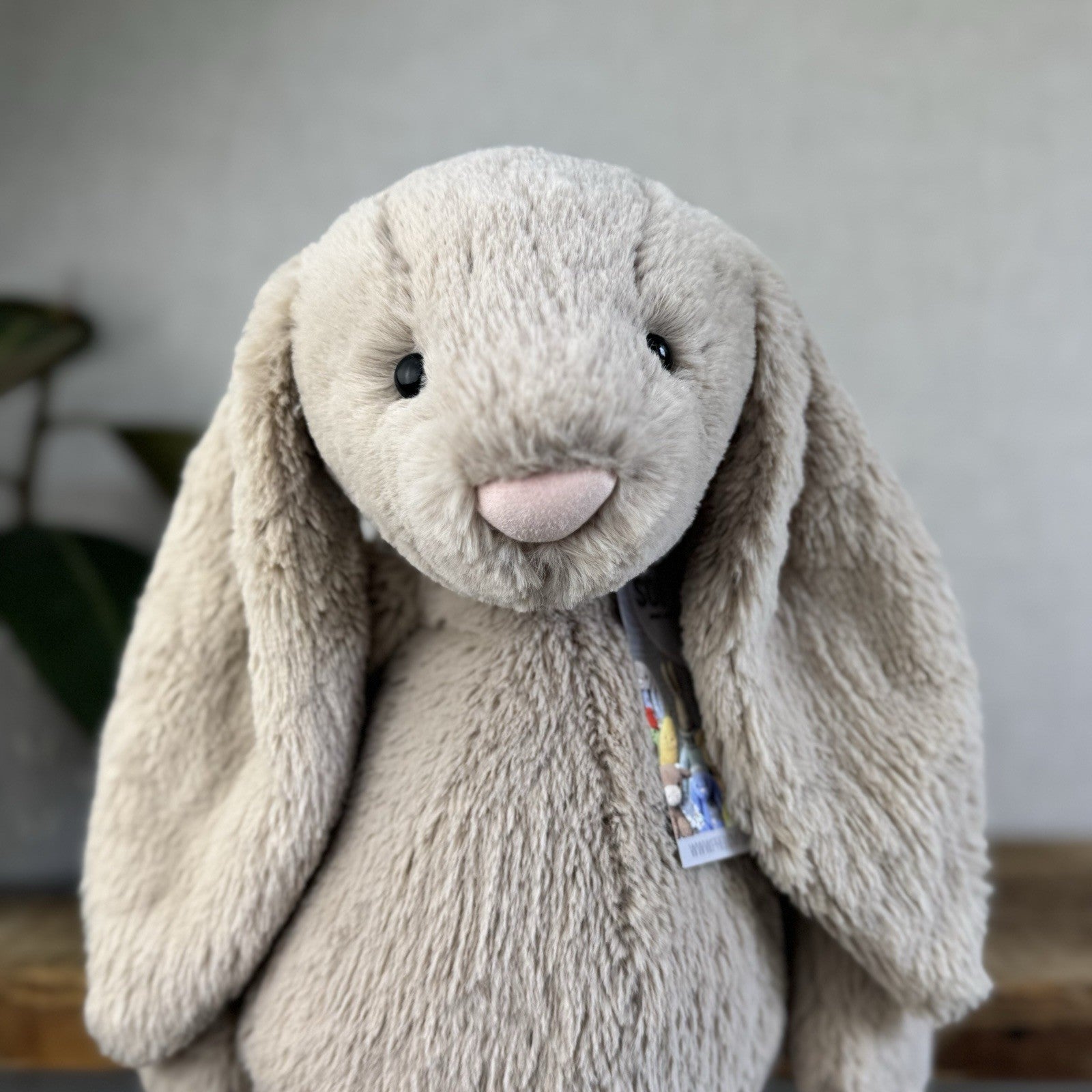 Jellycat Large Bashful Beige Bunny Rabbit - Old Style Large Beige Bunny 16”