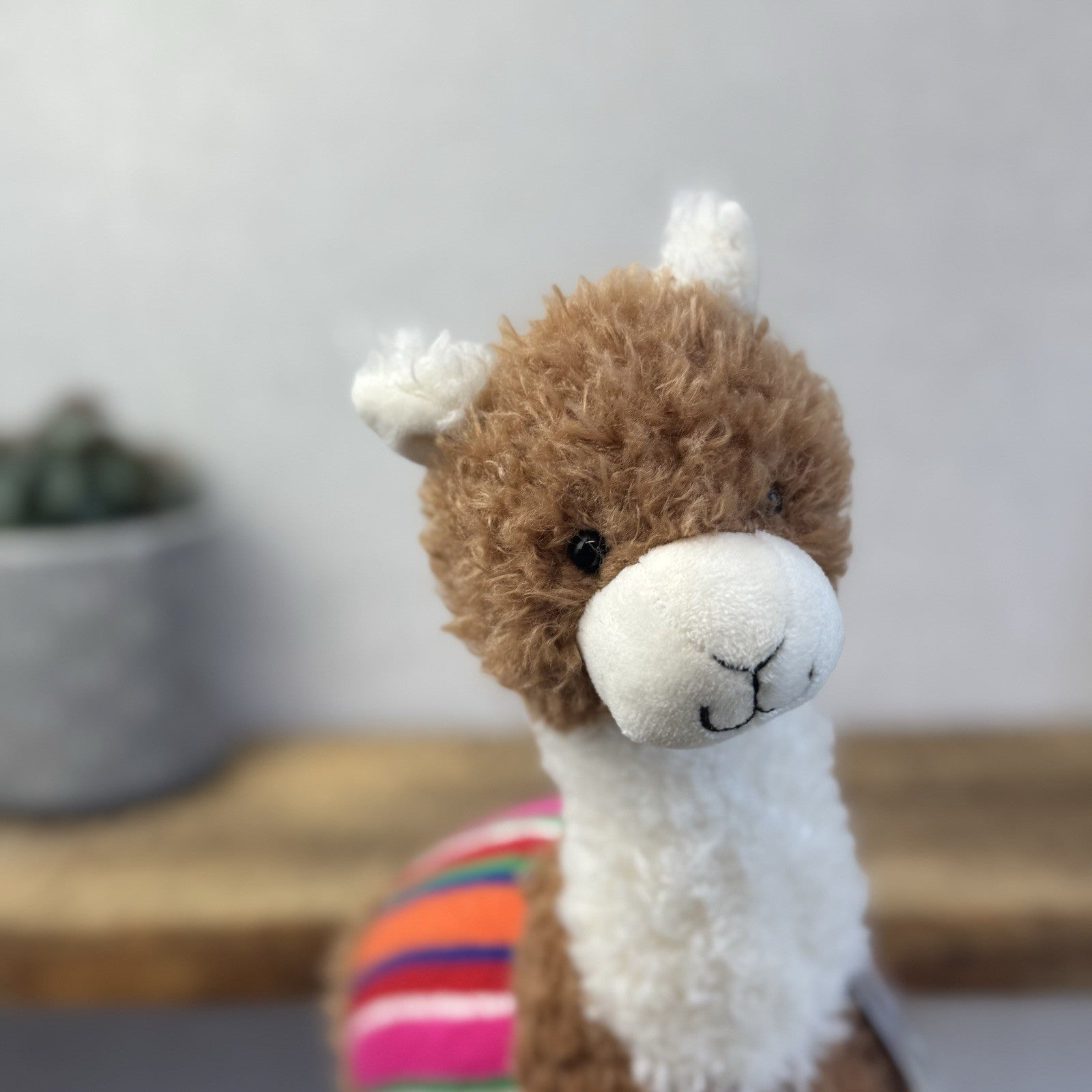 John Lewix X Jellycat Poncho Llama - Curly LLama Beanie Soft Toy Medium 12"