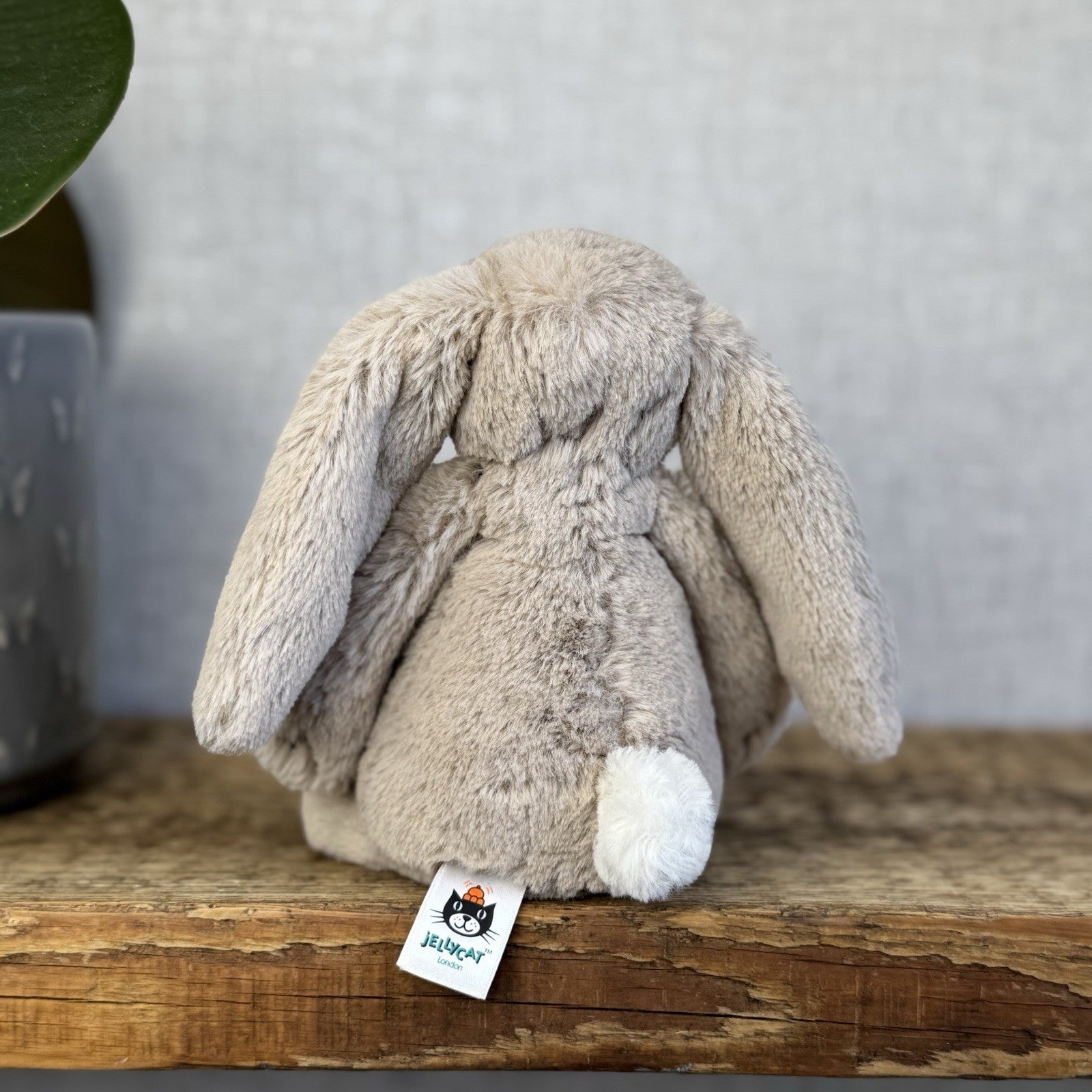 Jellycat Small Beige Bashful Bunny - New Without Tags Little Rabbit 8” (#3)