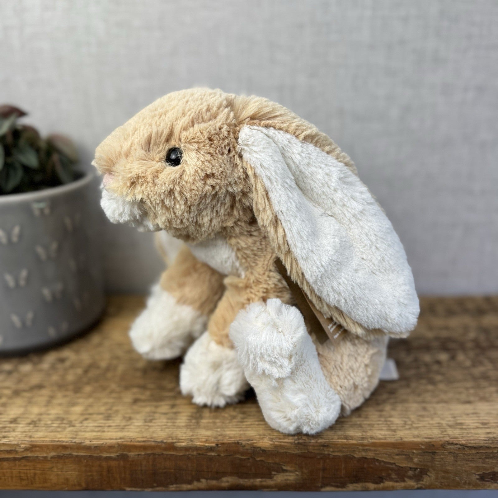 Jellycat Loppy Oatmeal Bunny - John Lewis Exclusive New With Tags Medium 12"