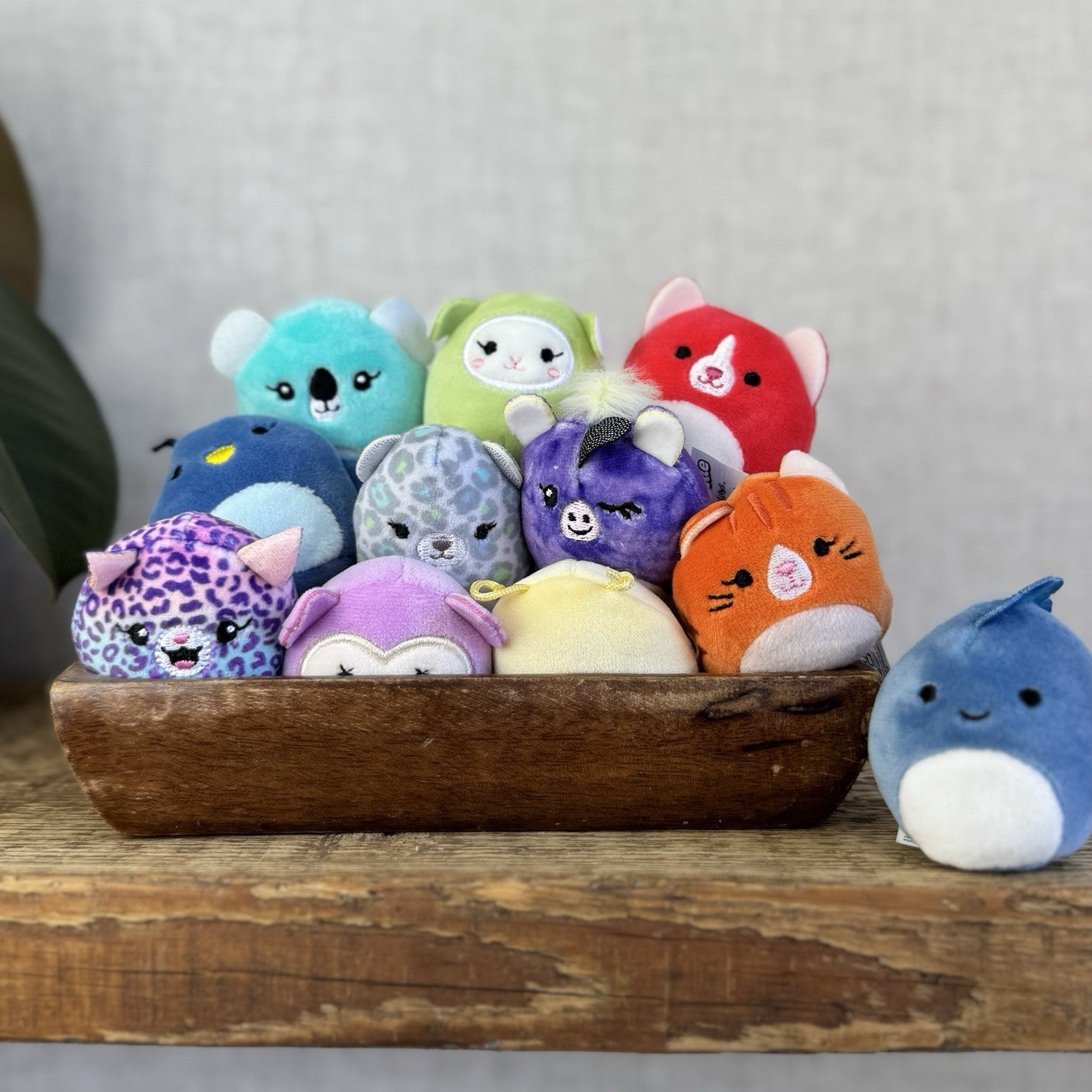 Squishmallow Squishville Bundle x12 - Mixed Bundle Tiny Squishmallow 2" Bright