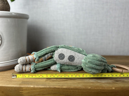 Jellycat Cordy Roy Baby Dino Jitter Soft Toy Plush Baby Activity Toy
