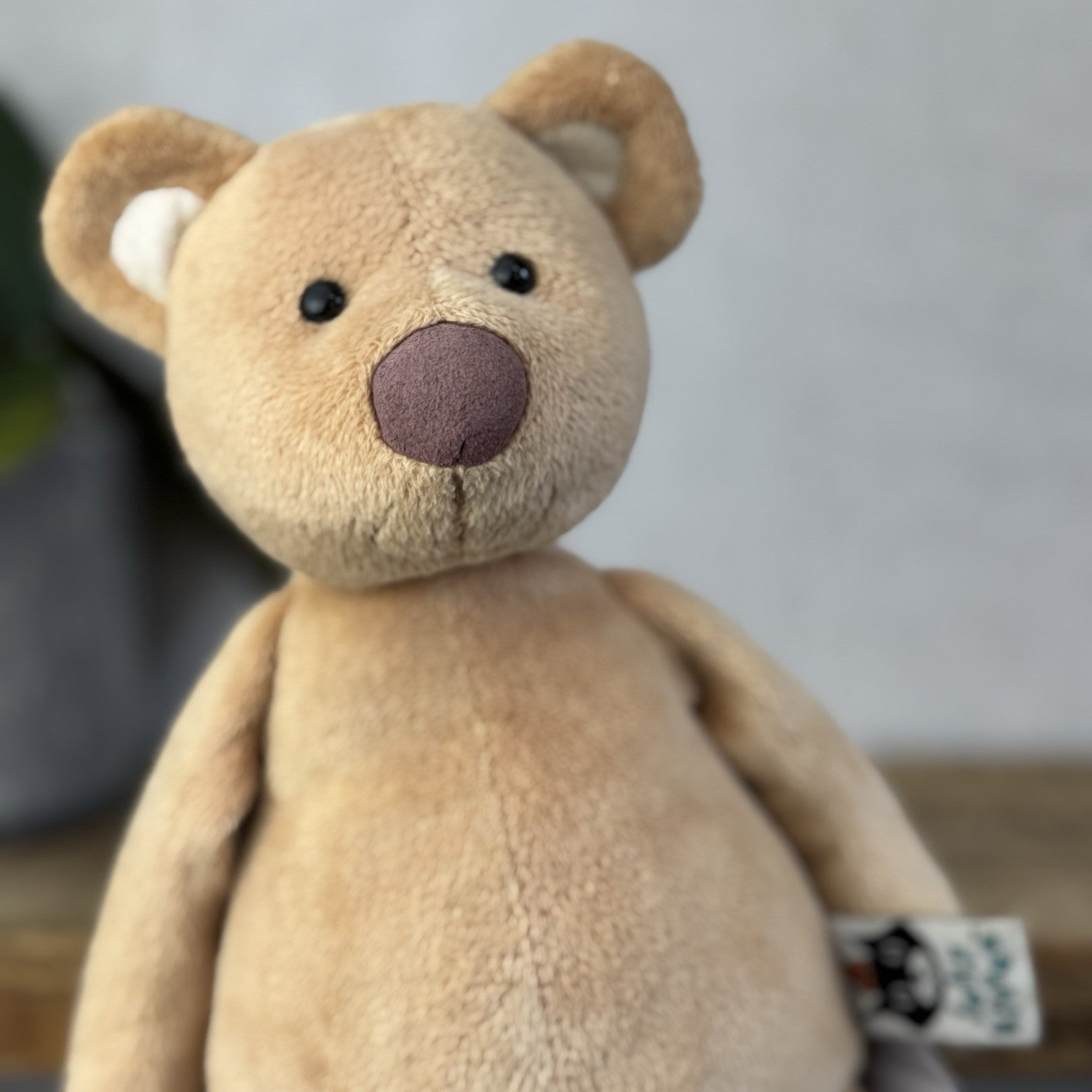 Jellycat JellyKitten Traditional Teddy Bear Beige Tan New Without Tags 12” Rare