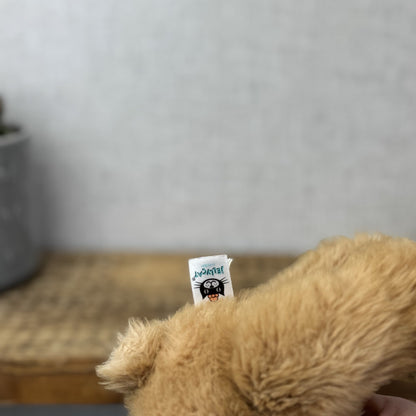 Jellycat Small Benjamin Bear - Maple Colour Small Beanie Bear Plush NWOT 10"