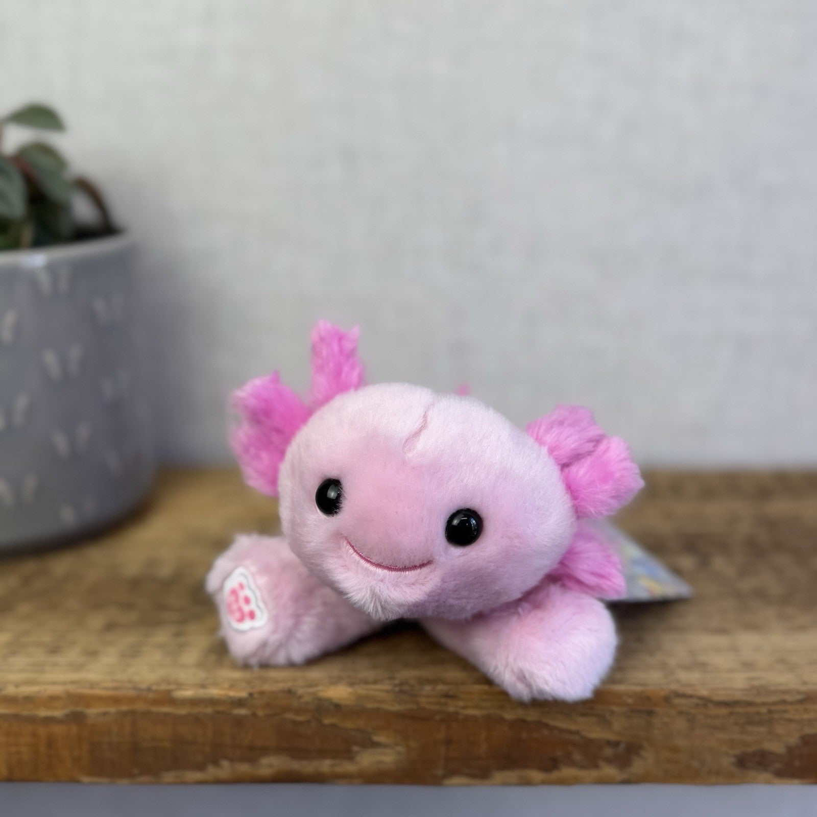 Build A Bear Pink Axolotl Sea Creature Mini Beans  - Small Beanbag BAB NWOT 7"