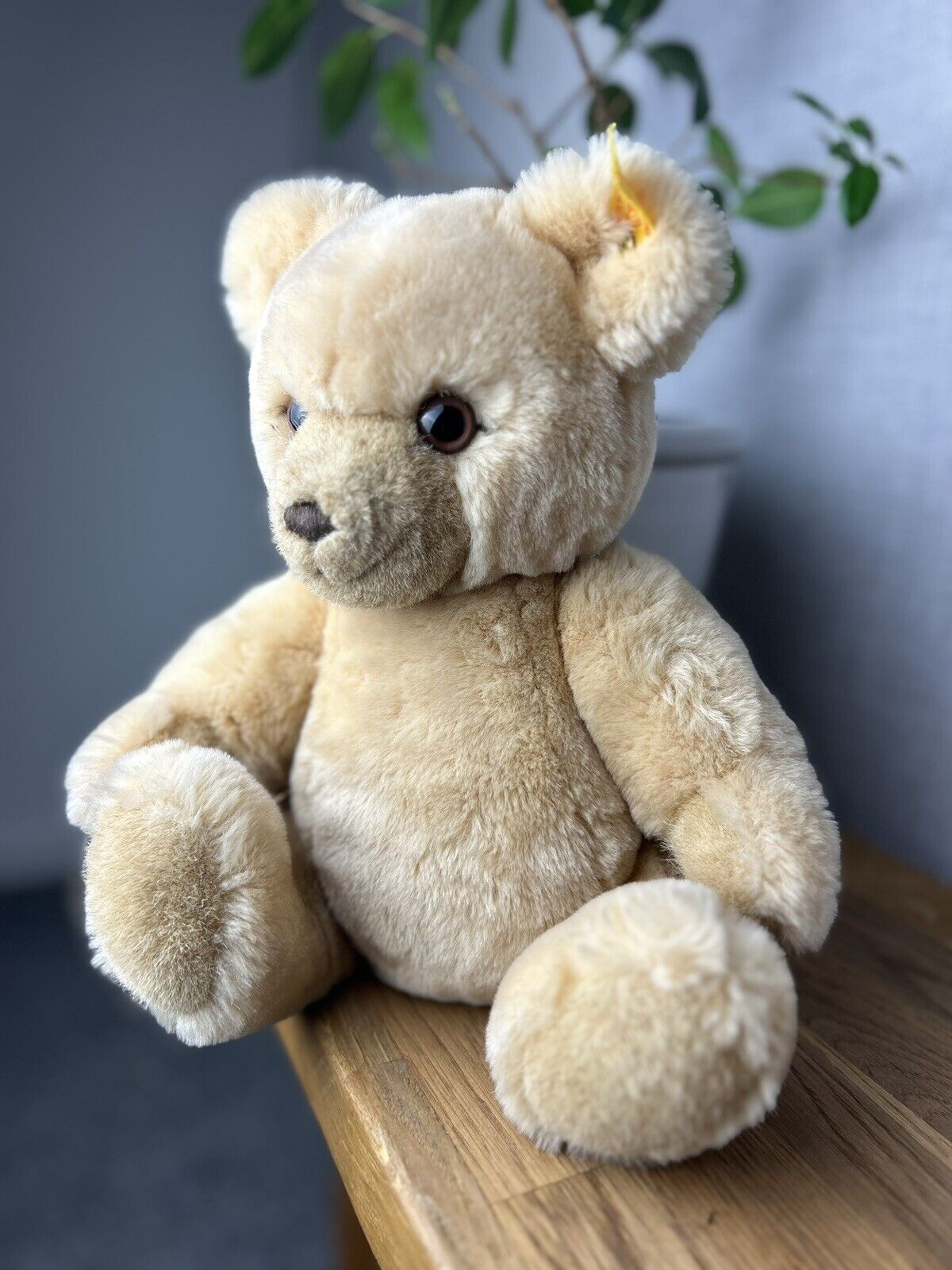 Steiff Petsy Blonde Bear 012280 - Medium Vintage 5 Way Jointed Steiff Bear Light