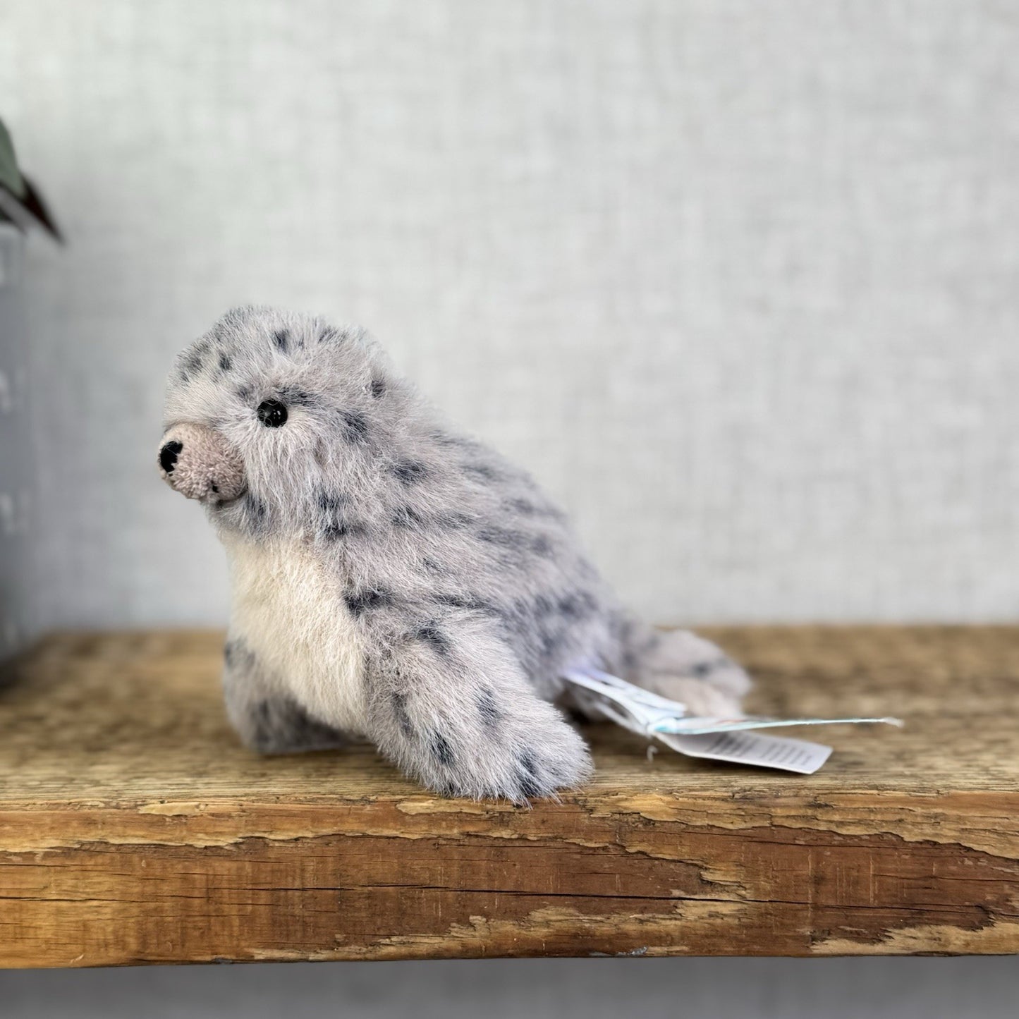 Jellycat Nauticool Spotty Seal - Mini Fluffy Grey Spotty Seal Beanie Plush Tags