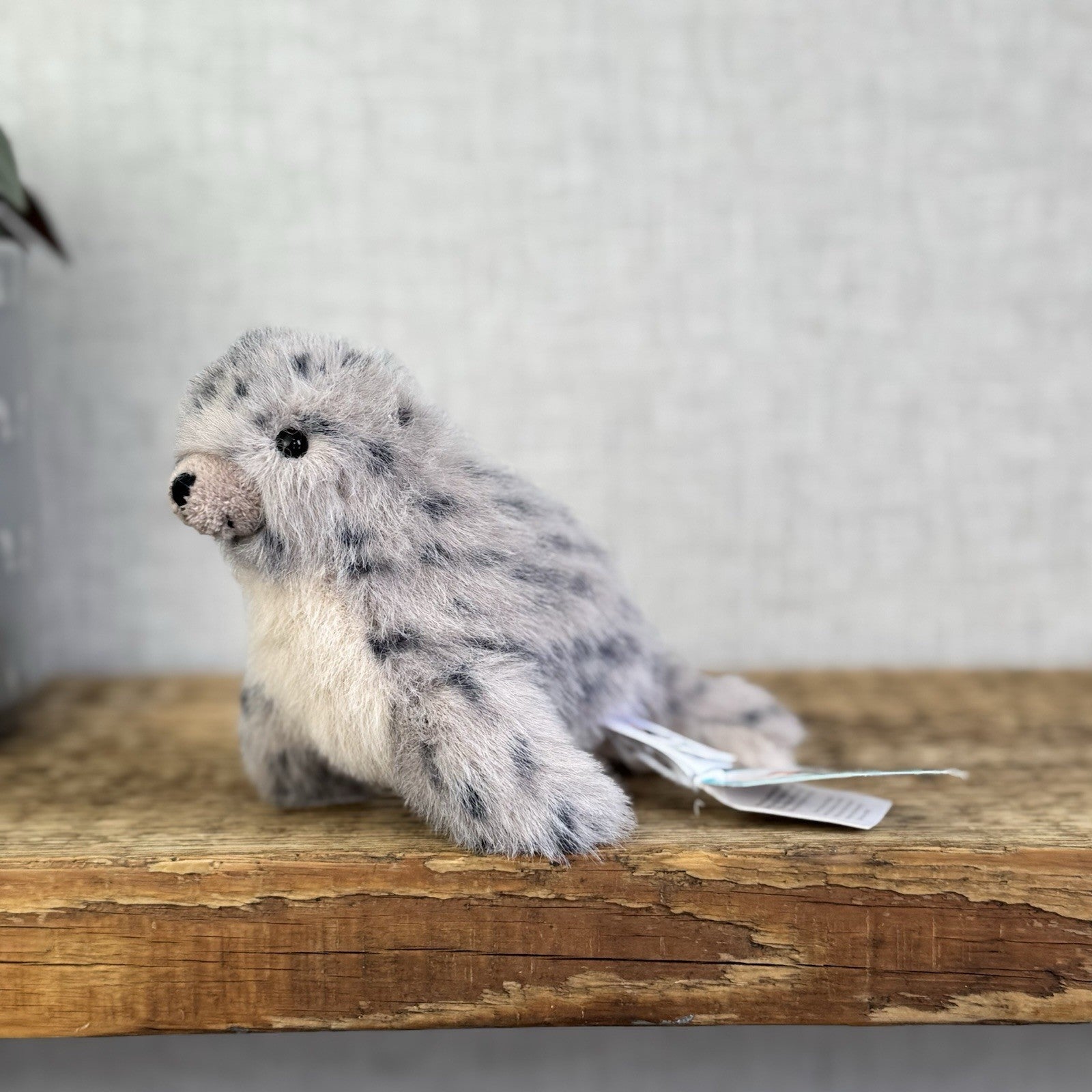 Jellycat Nauticool Spotty Seal - Mini Fluffy Grey Spotty Seal Beanie Plush Tags