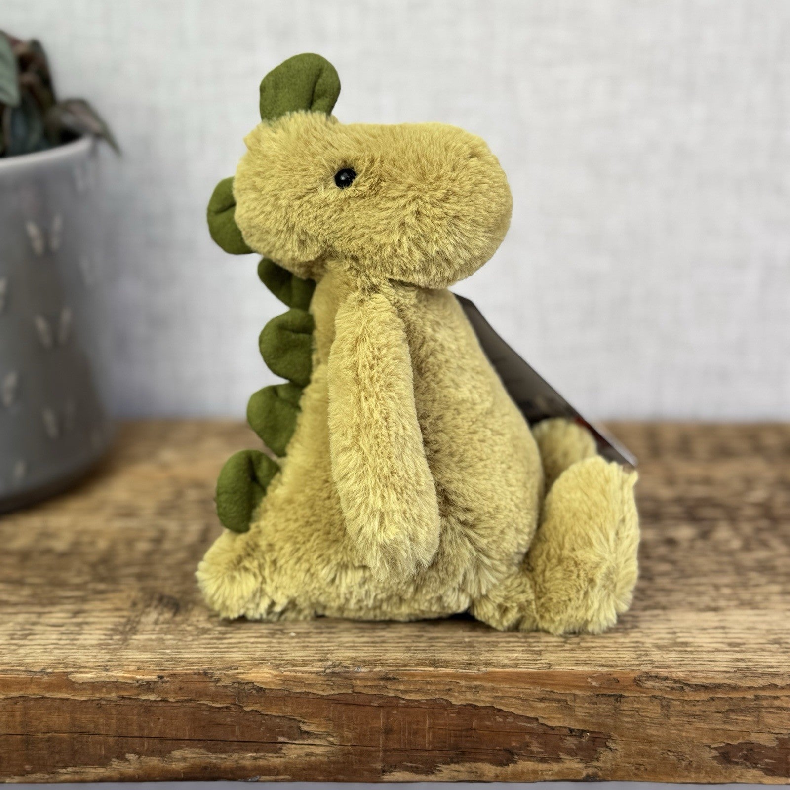 Jellycat Small Bashful Dinosaur - Light Olive Green Dinosaur Beanie Plush 8"