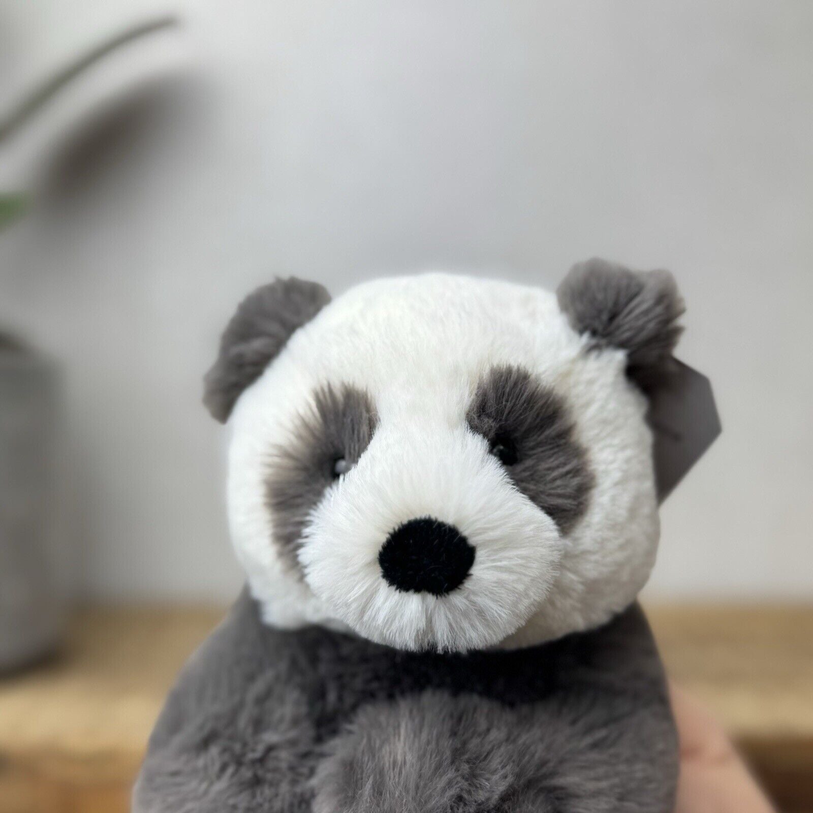 Jellycat Small Harry Panda Cub - Super Soft Panda Beanie Plush 8” Rare