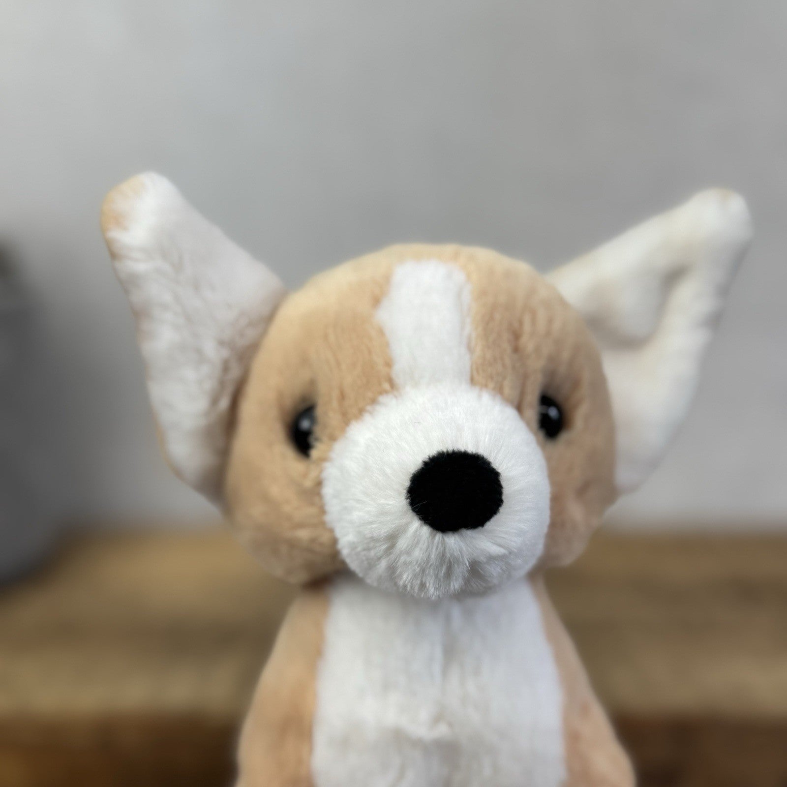 Jellycat Isobel Chihuahua - Small Soft Toy Dog Plush Beanie Cute Puppy 7"