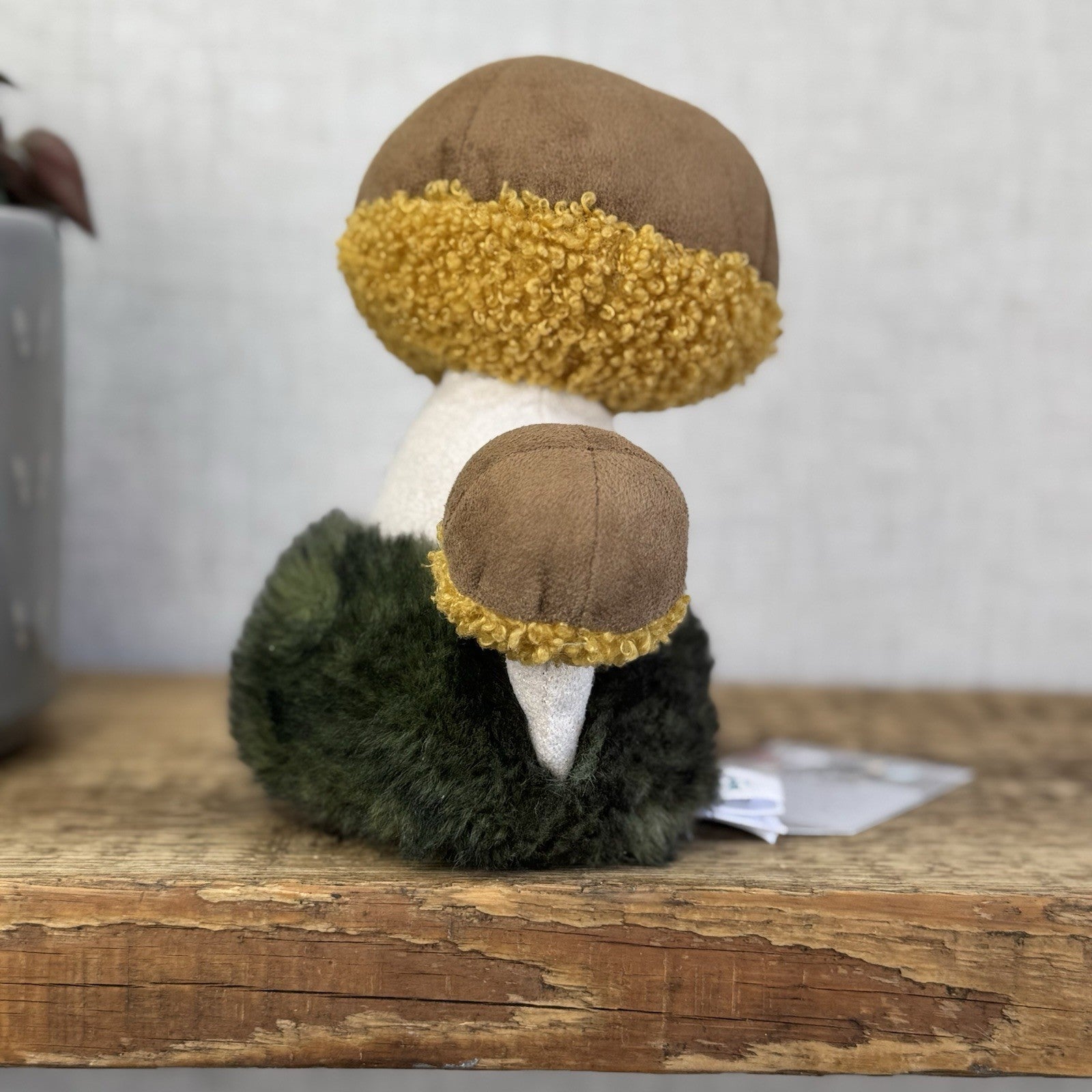 Jellycat Wild Nature Boletus Mushroom - Retired Mushroom Beanie Plush Display 8"