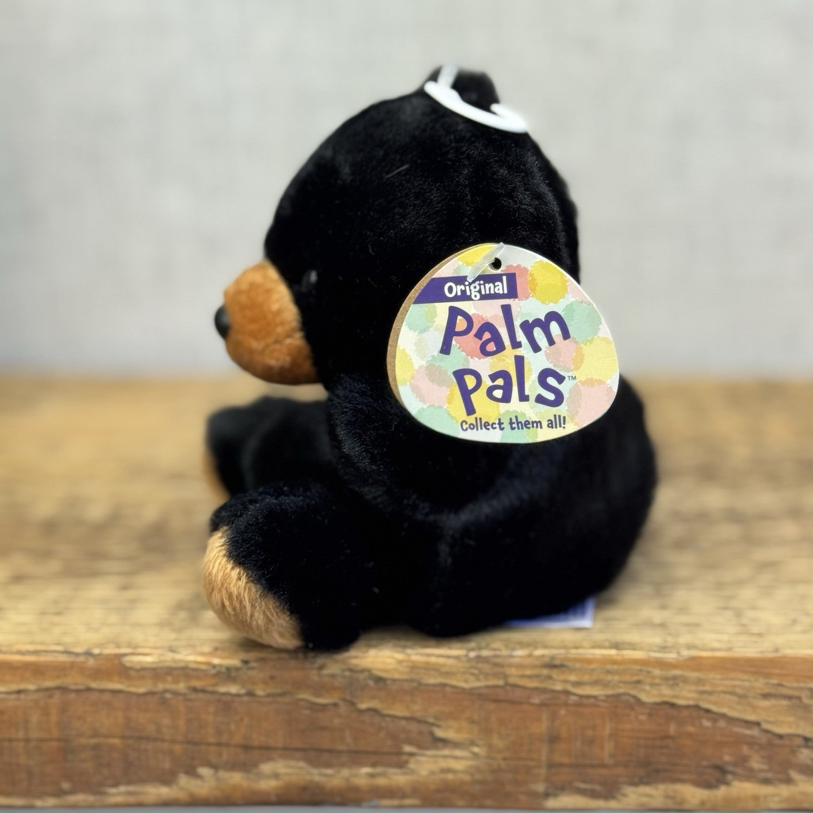 Aurora - Palm Pals Mini Beanbag Plush Sleepy Bear - Small Beanie Black Bear Cub