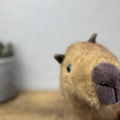 Jellycat Clyde Capybara - New With Tags Capybara Soft Toy Retired 10"
