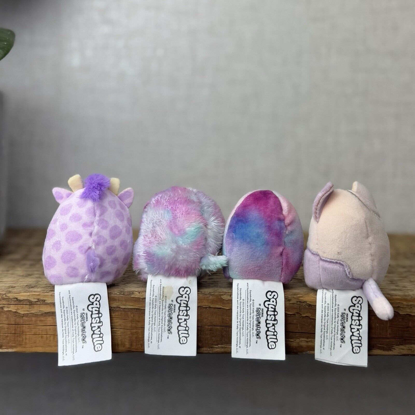 Squishmallow Squishville - Purple Pals Squad - Carlota, Patrick, Bashira & Jazzy