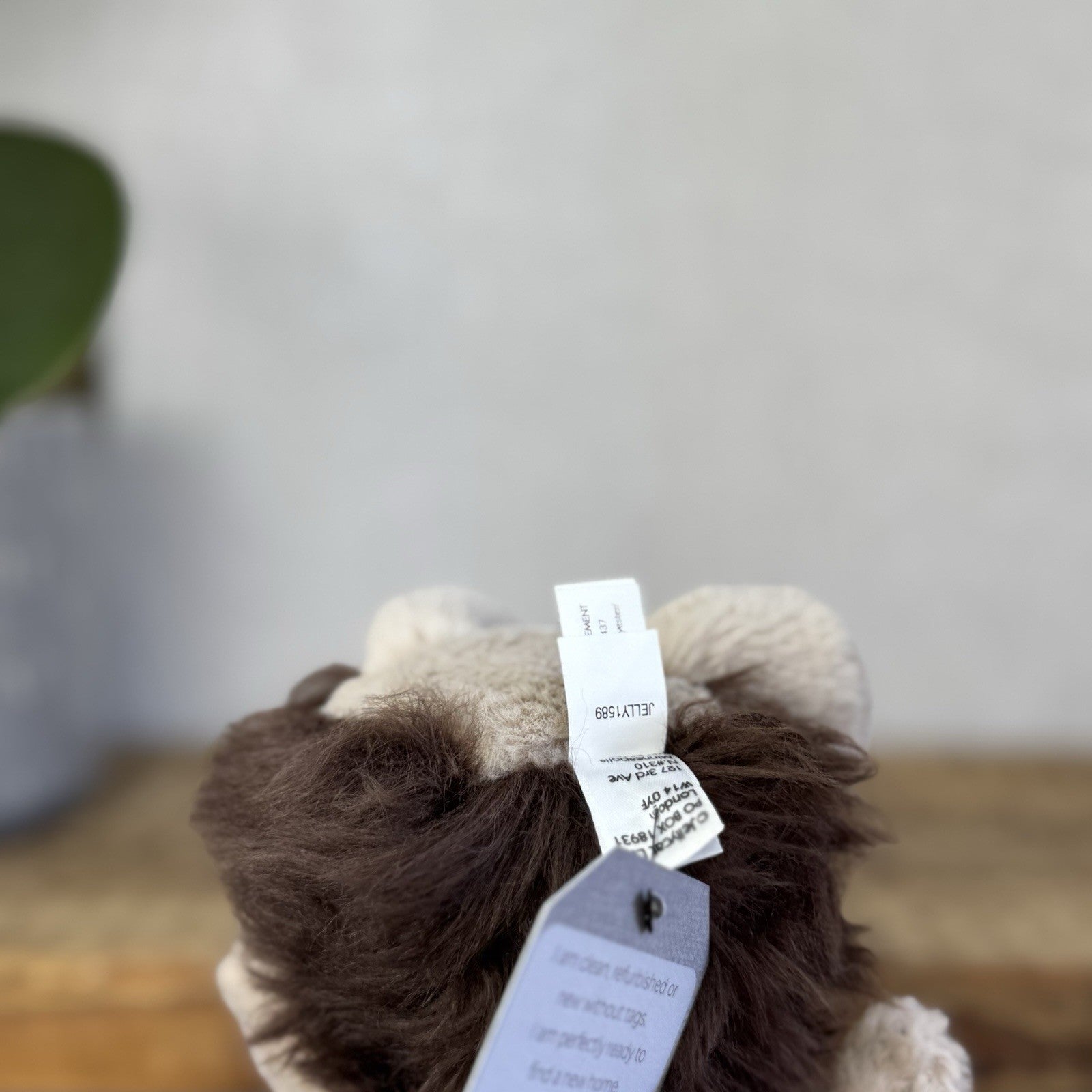 Jellycat Small Bashful Hedgehog - First Release Smaller Hedgehog 7" Rare