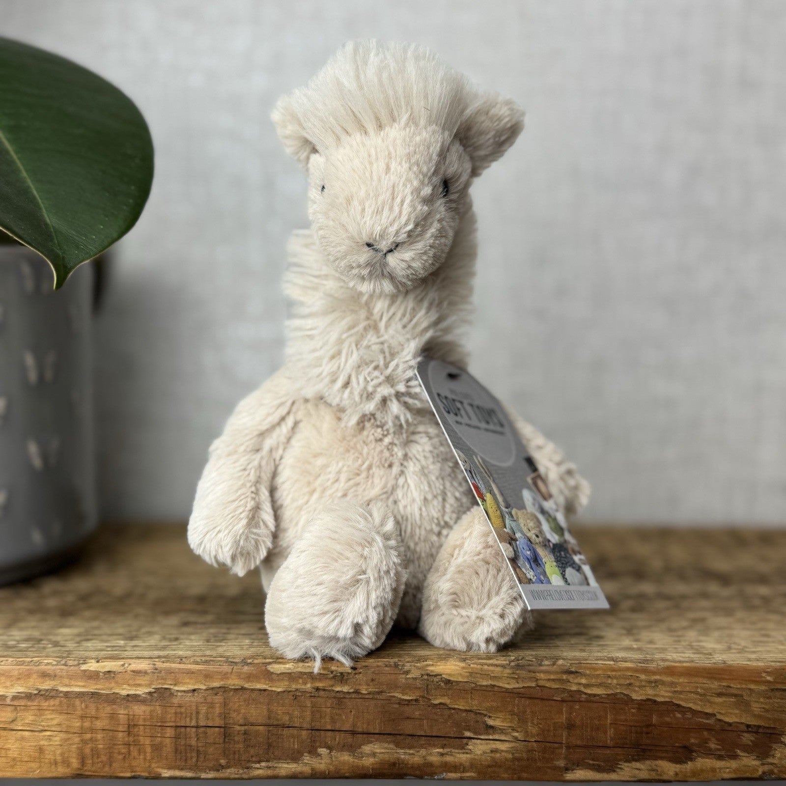 Jellycat Small Bashful Llama - Little Llama Light Beige Beanie Plush Teddy 8”