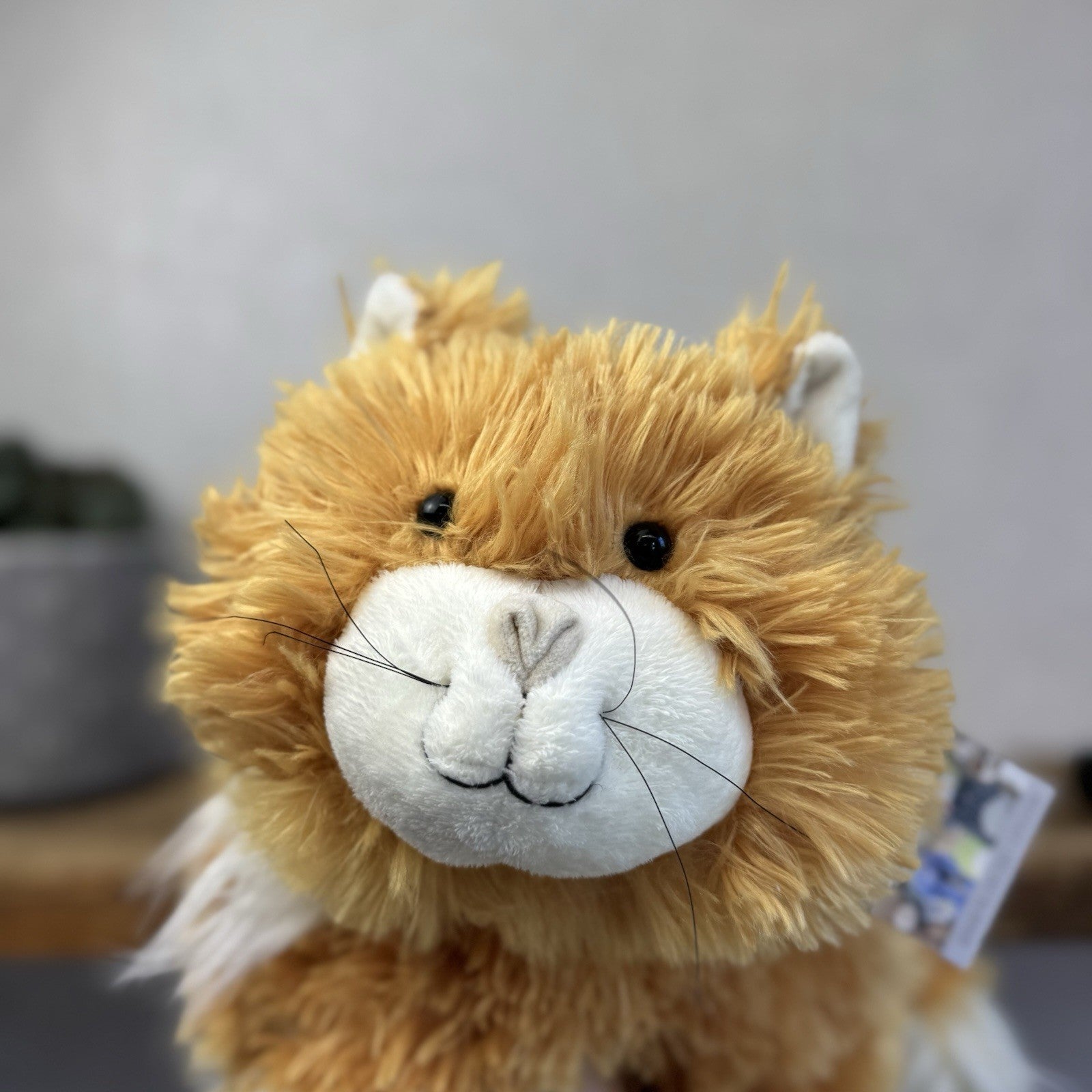 Jellycat Medium Truffles Vintage Ginger Cat - Cat Floppy Pillow Beanie Rare NWOT