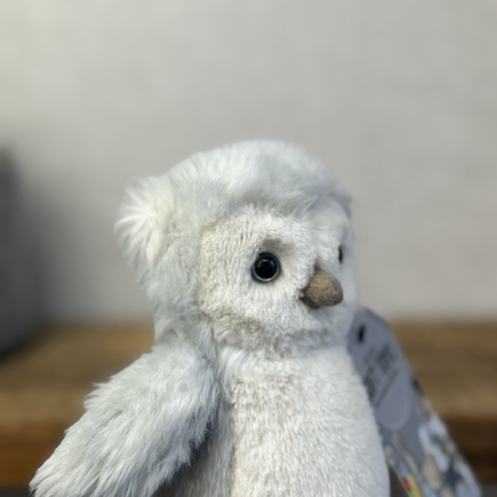 Jellycat Small Bashful Owl Chick - Birch Grey Colouring Owl Soft Toy Small 6"