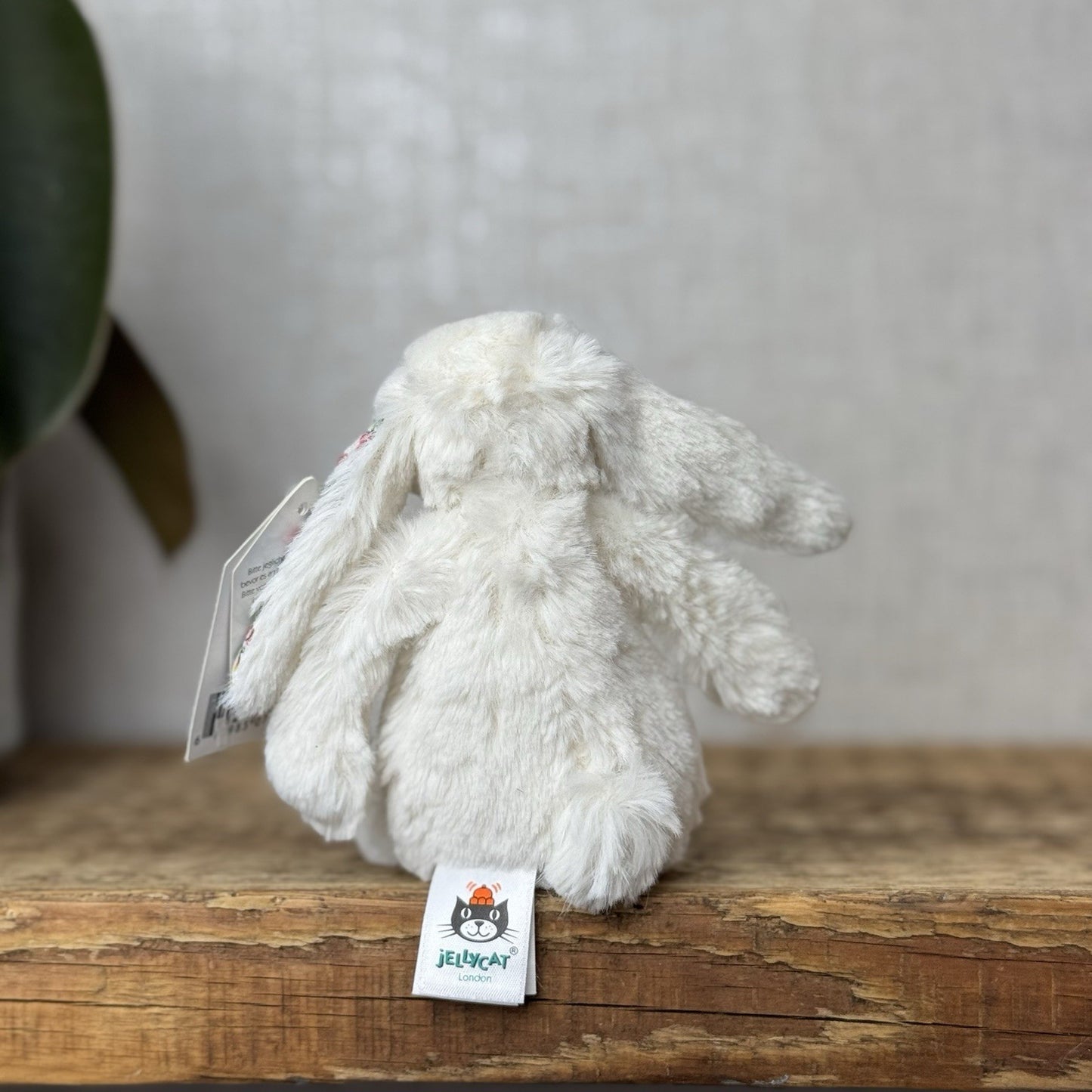 Jellycat Baby Cream Blossom Bashful Bunny - Baby Cream Rabbit New With Tags 5”